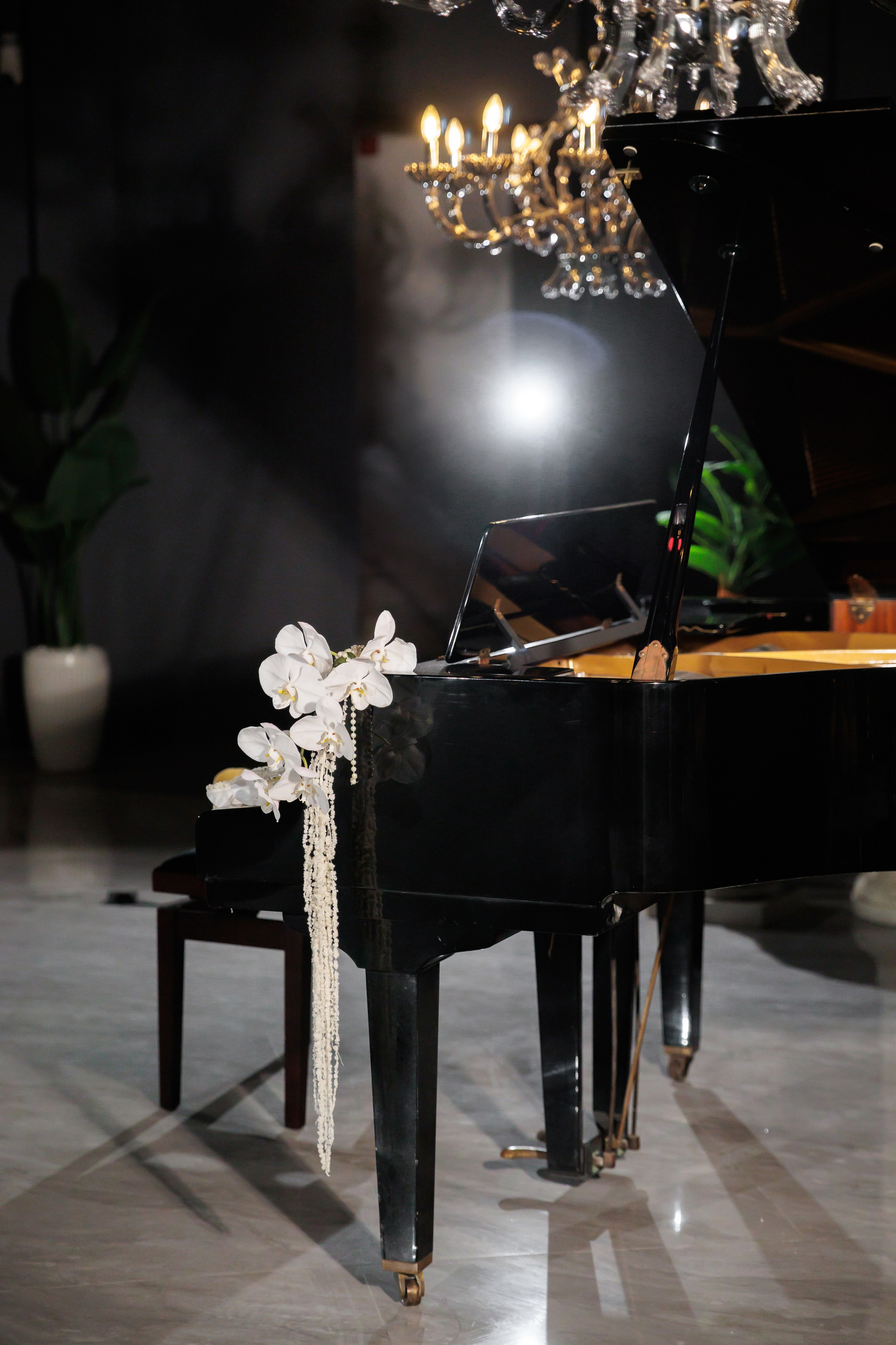 Ismail & Sophie. Валерия Солнцева свадебный и семейный фотограф