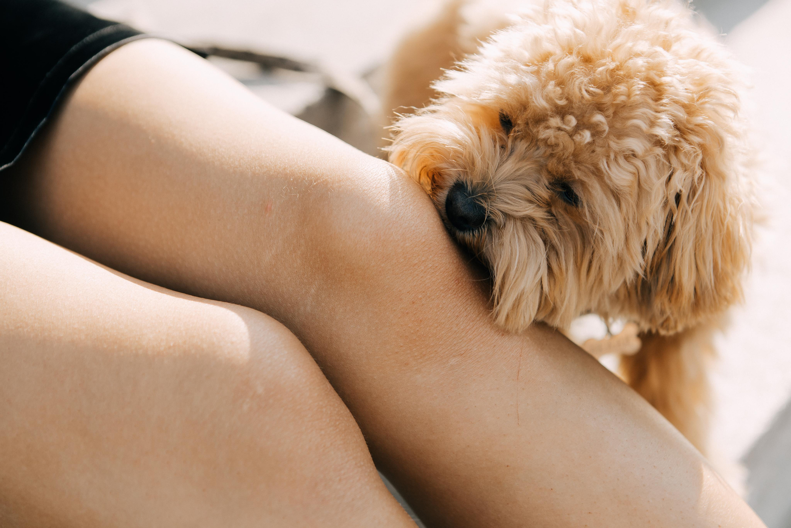 Прогулочная фотосессия Челябинск. СВАДЕБНЫЙ ФОТОГРАФ ЧЕЛЯБИНСК