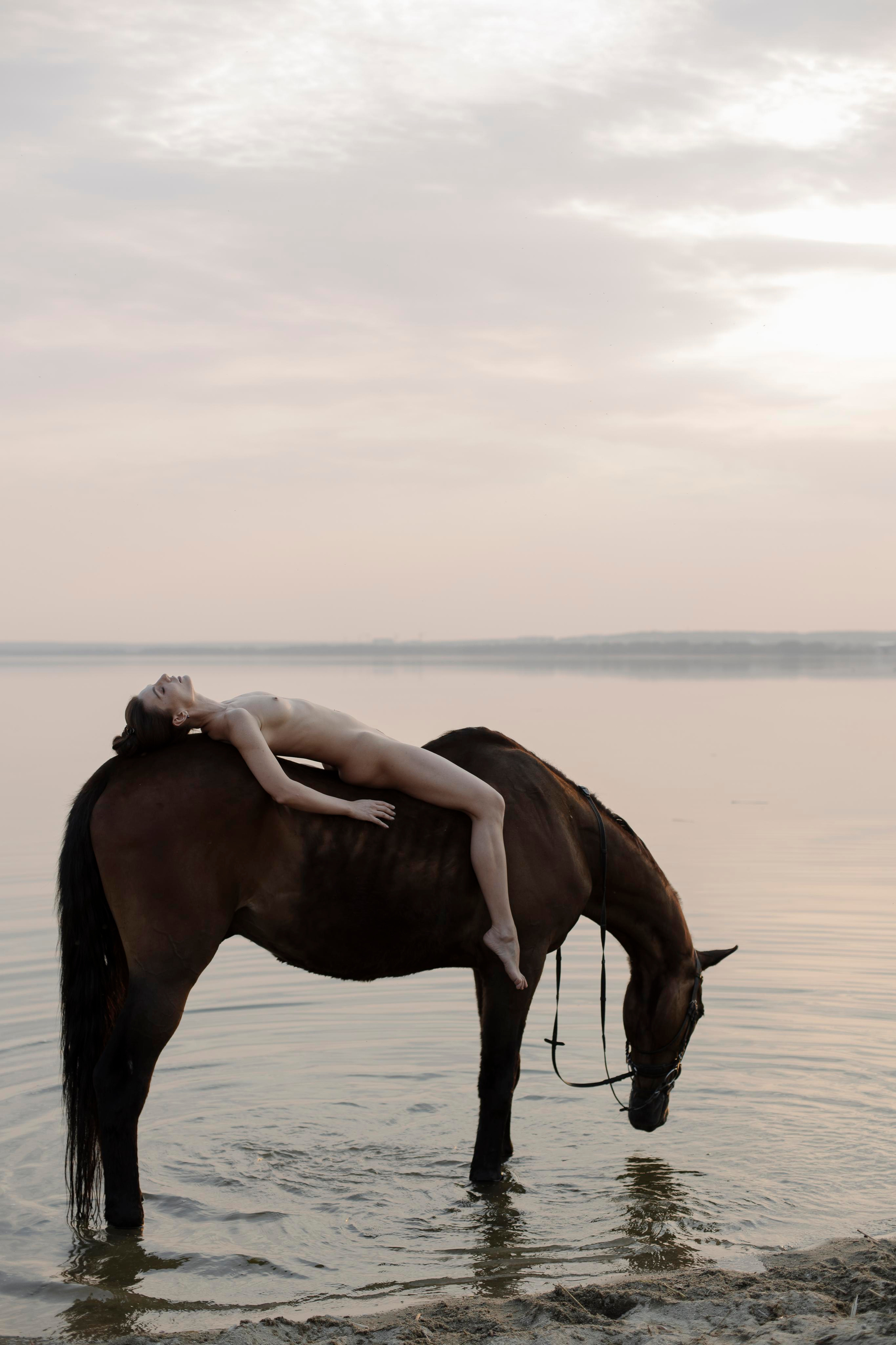 Фотосессия на конюшне. СВАДЕБНЫЙ ФОТОГРАФ ЧЕЛЯБИНСК