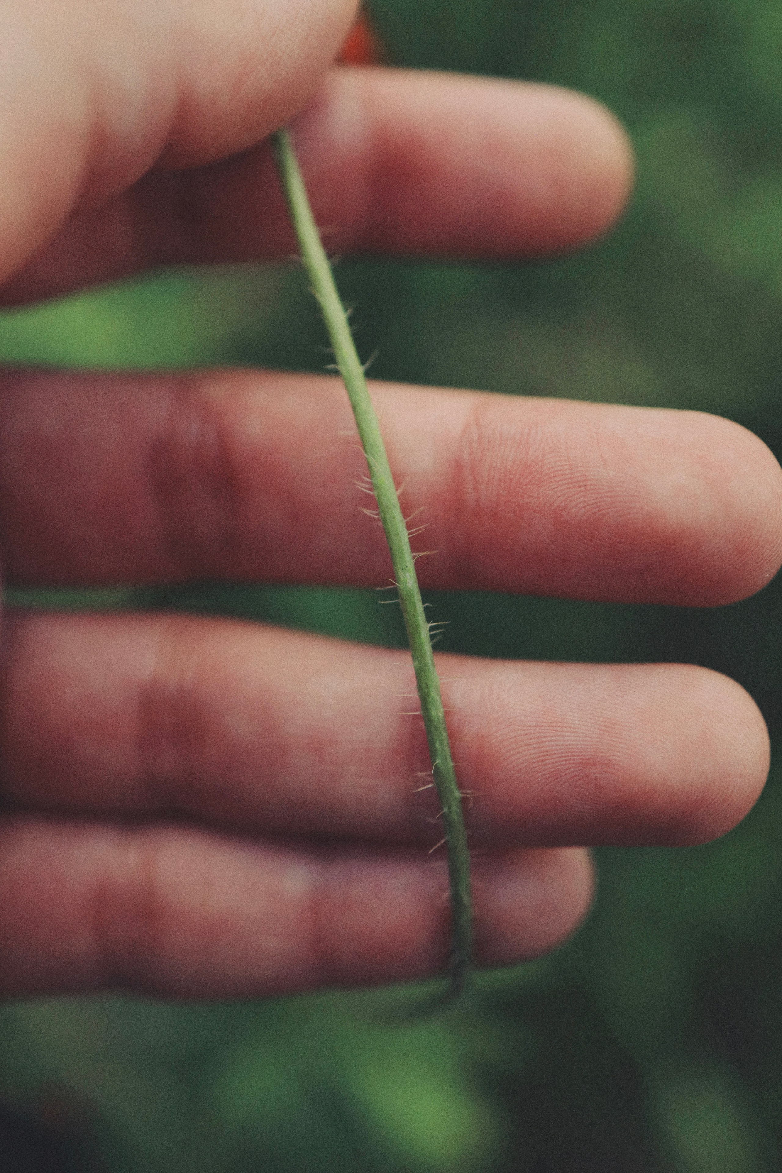 My beautiful days / Moscow 2024. POLINA MÔMOT