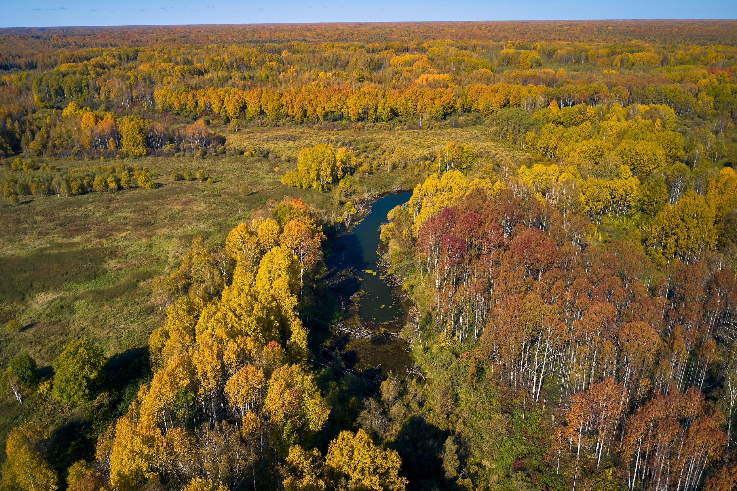 Съемка в полете. DMITRY MOISEENKO — фотограф, художник, топ-стилист
