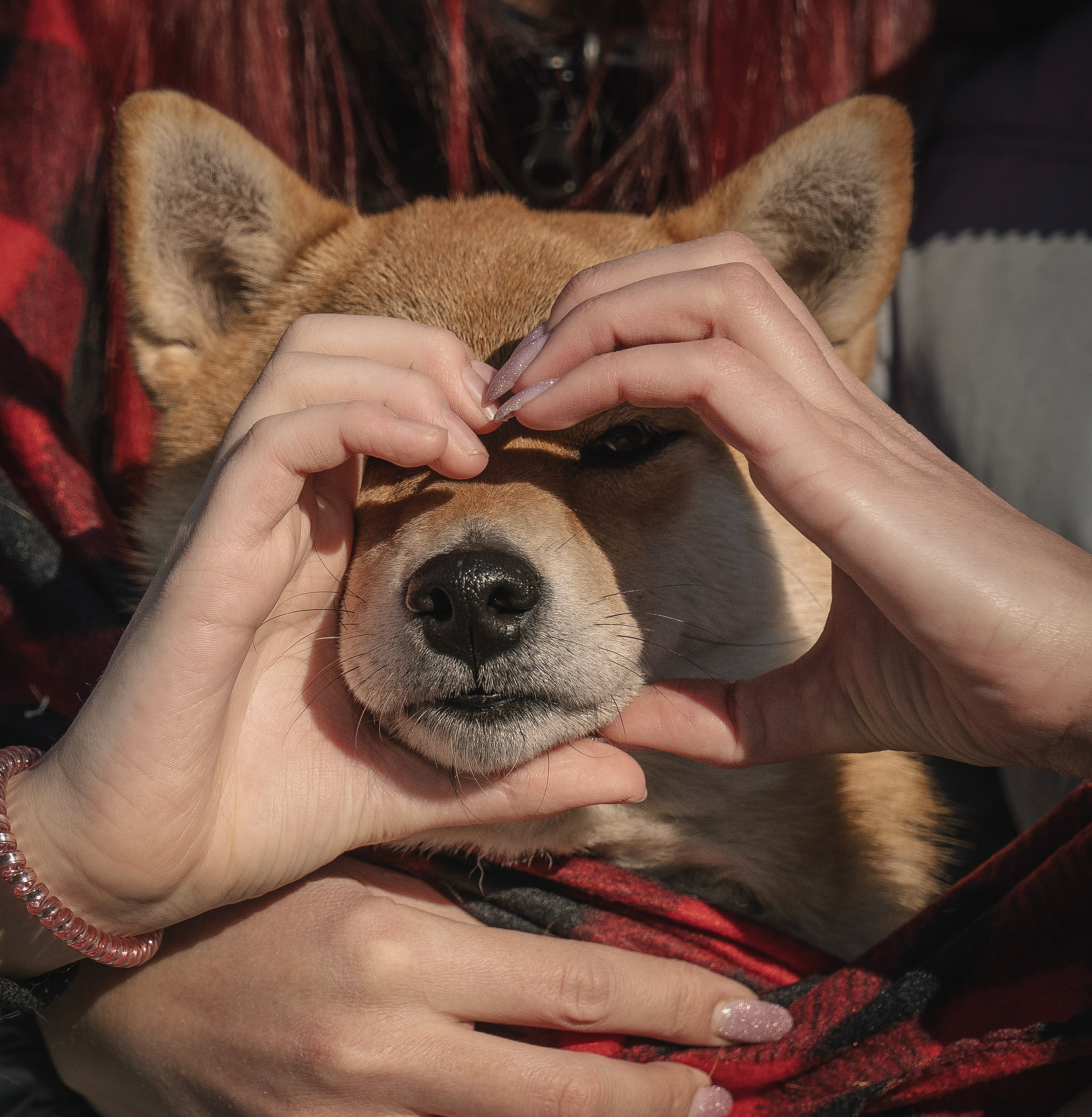 Семейная история. Семейный фотограф анималист г. Находка