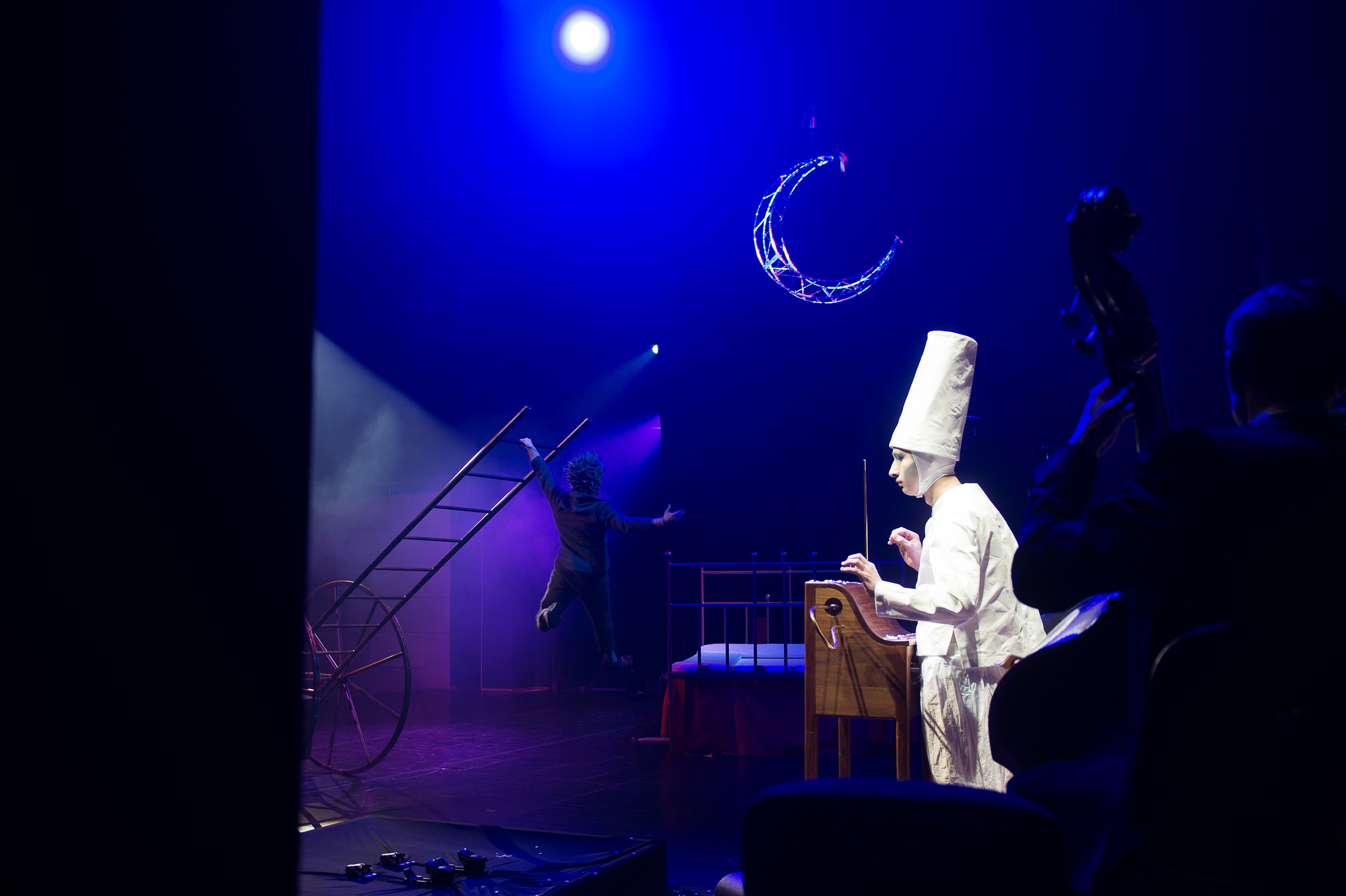 Ежик и медвежонок. Цирковая сказка с оркестром. Фотограф Алиса Калинина