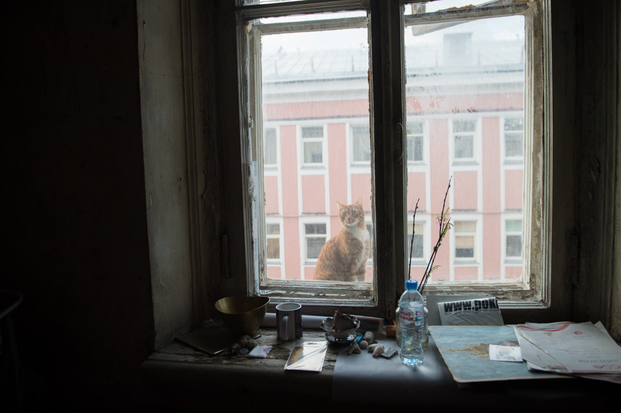 Квартира. Фотограф Алиса Калинина