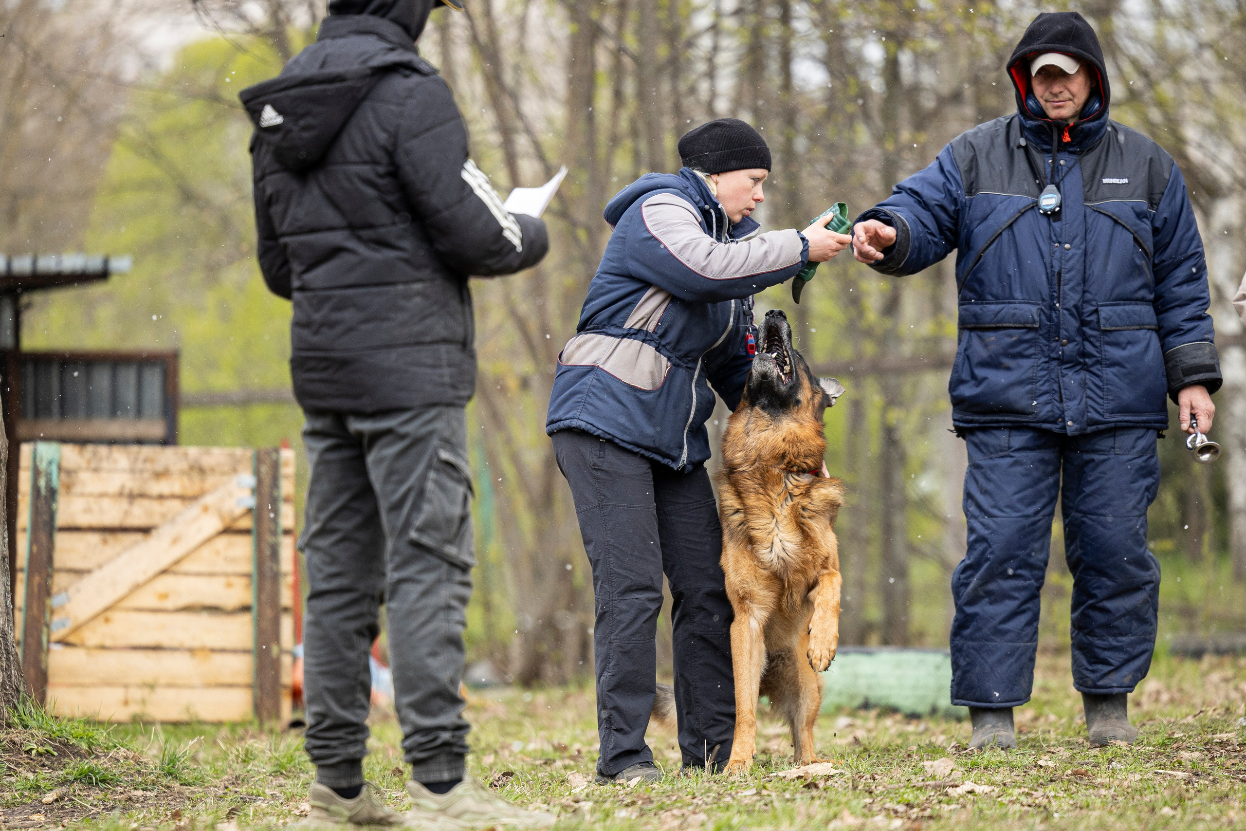 Квалификационные состязания по мондьорингу г. Вологда 11.05.24. Фотограф-анималист Анна Маринич