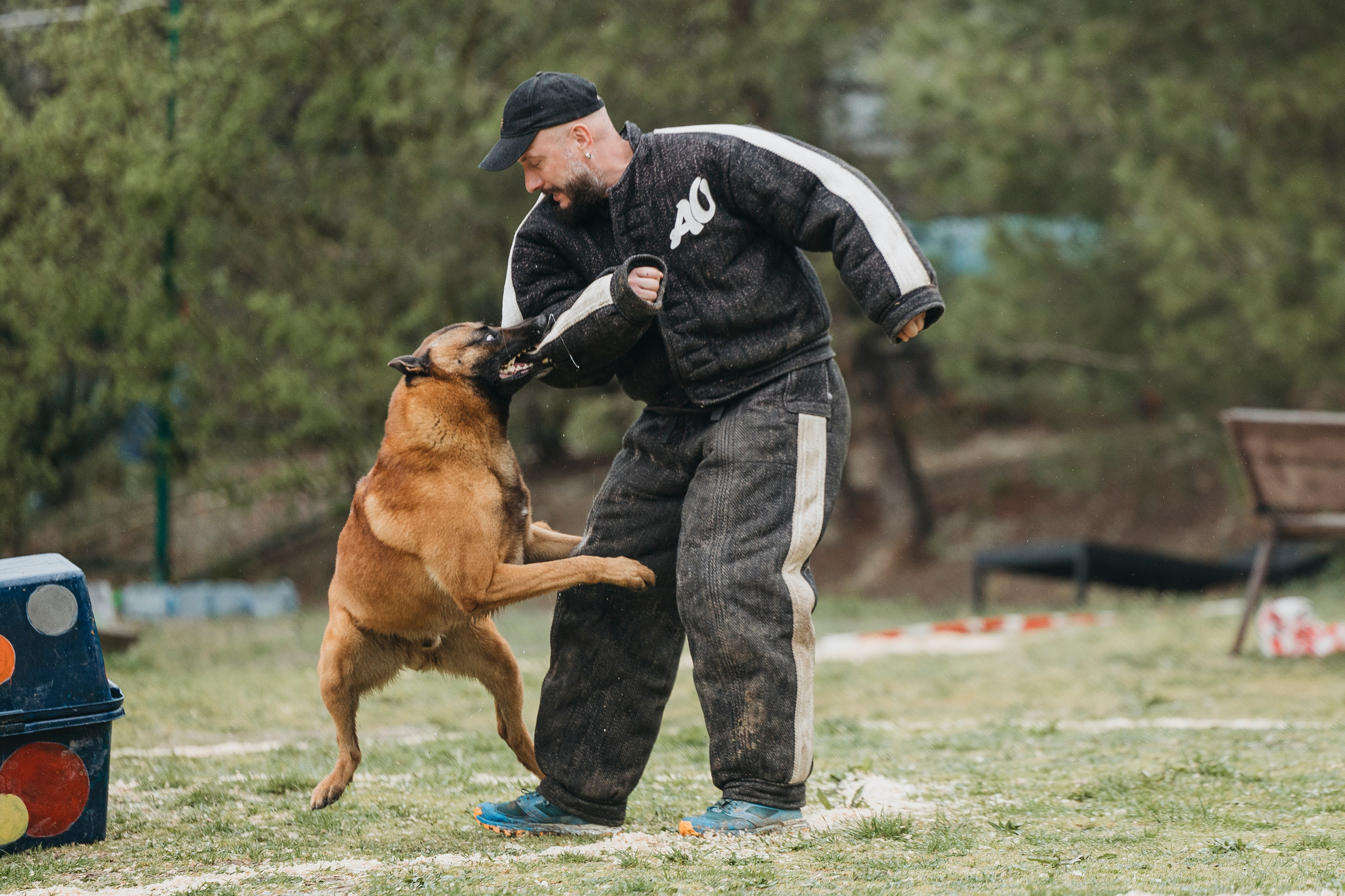 Геленджик Мондьоринг. Фотограф-анималист Анна Маринич