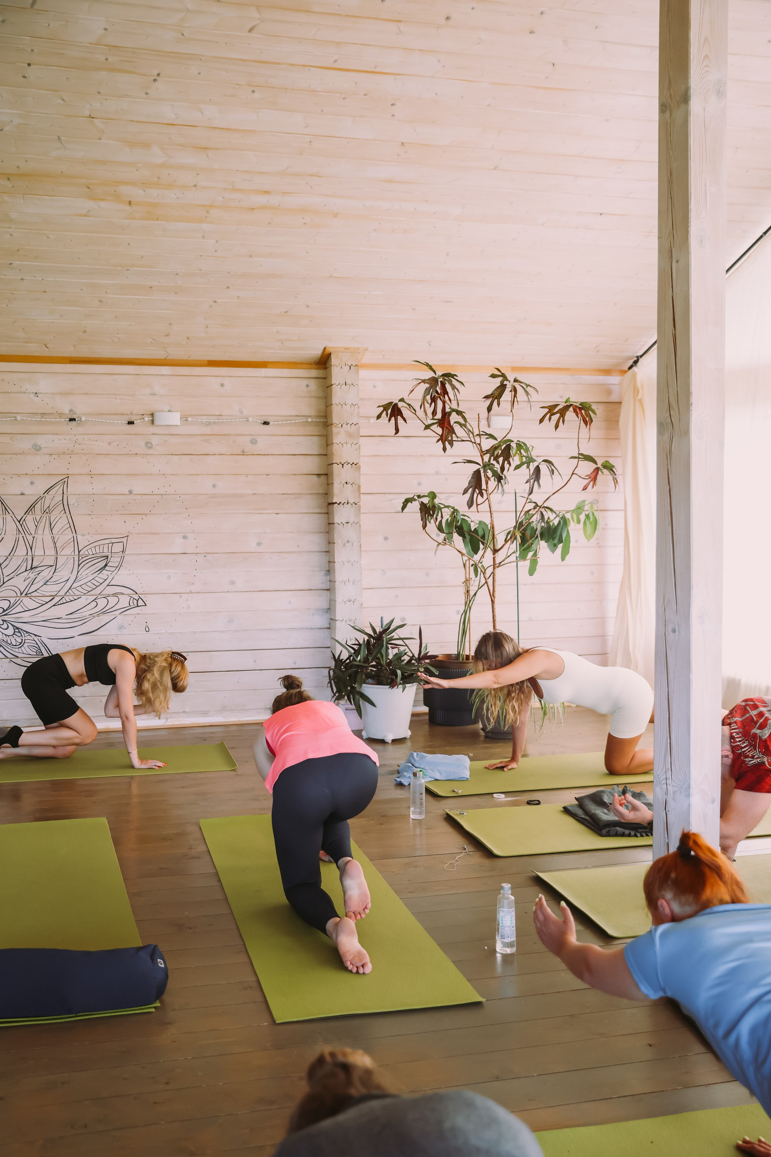 Йога-ретрит в Завидово на Иван Купалу. Фотограф и видеограф Анна Домашенко