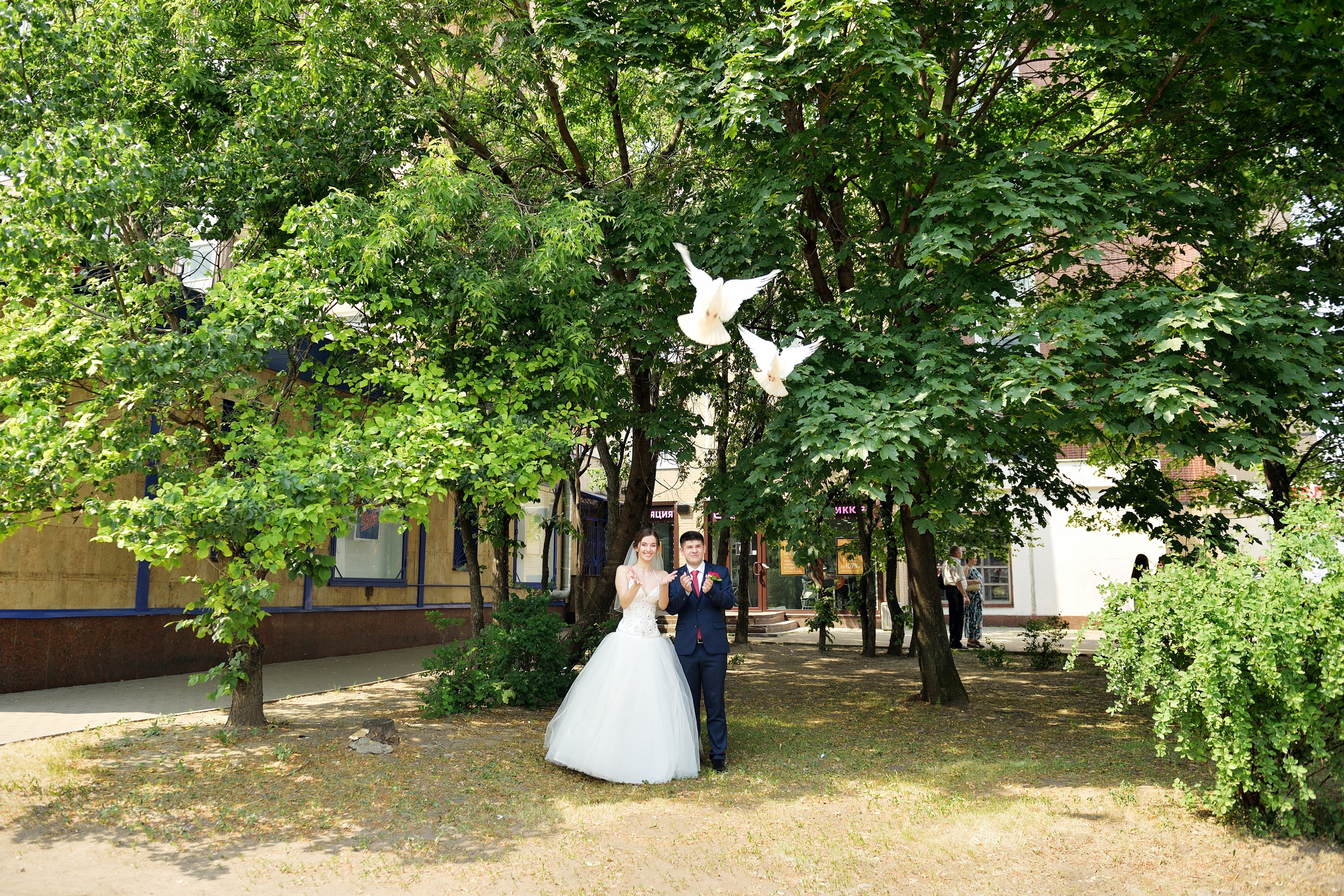 свадьба в бабушкинском загсе, бабушкинский загс