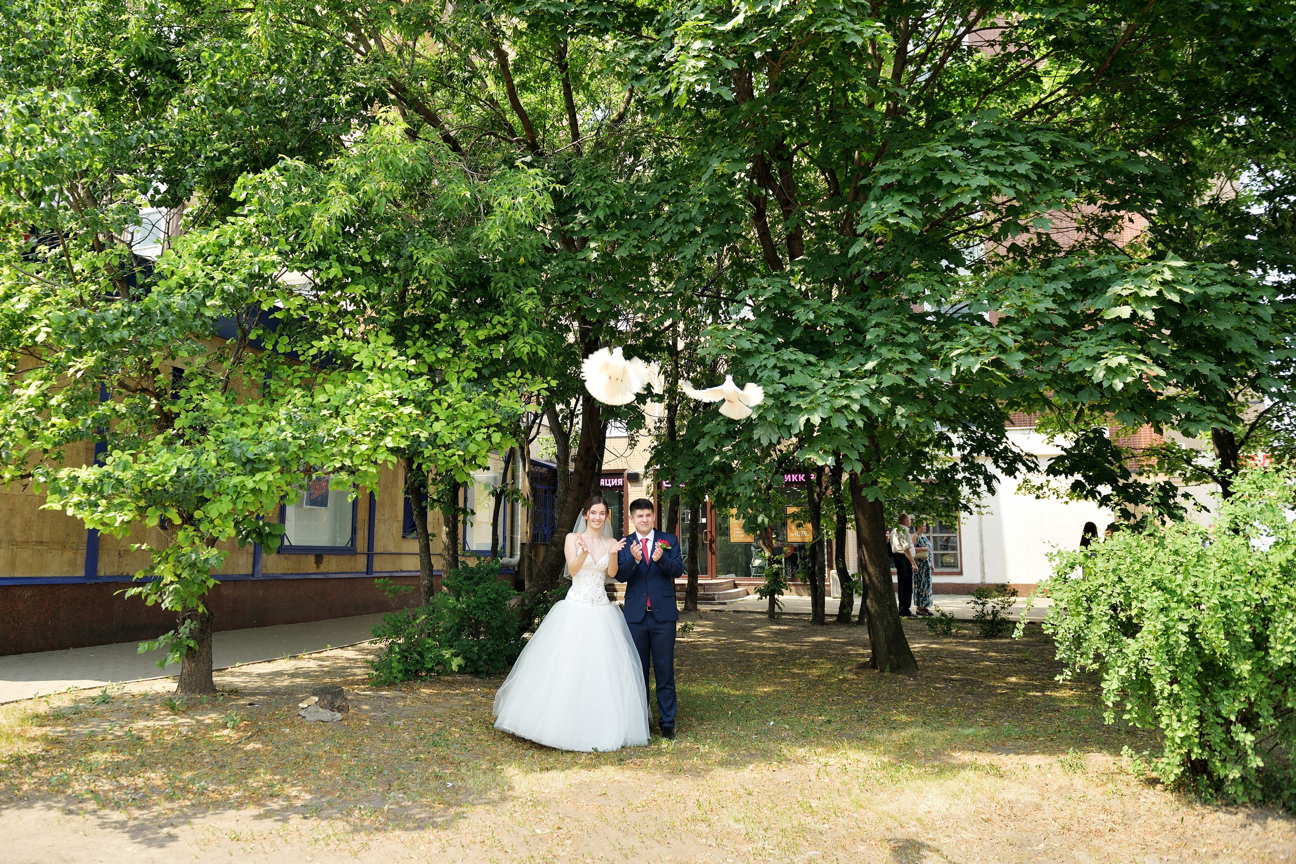 свадьба в бабушкинском загсе, бабушкинский загс