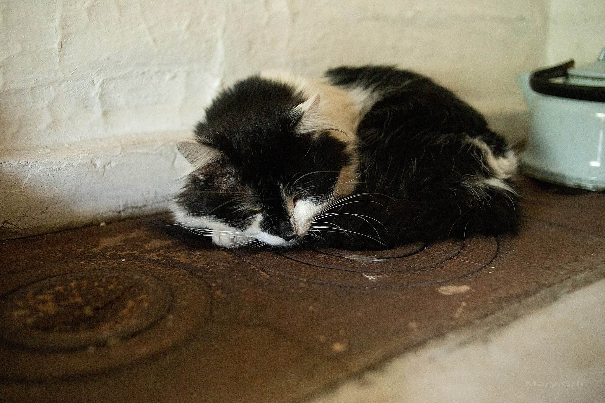 Русская деревня. Детский и семейный фотограф, фотограф мероприятий Нижний Новгород