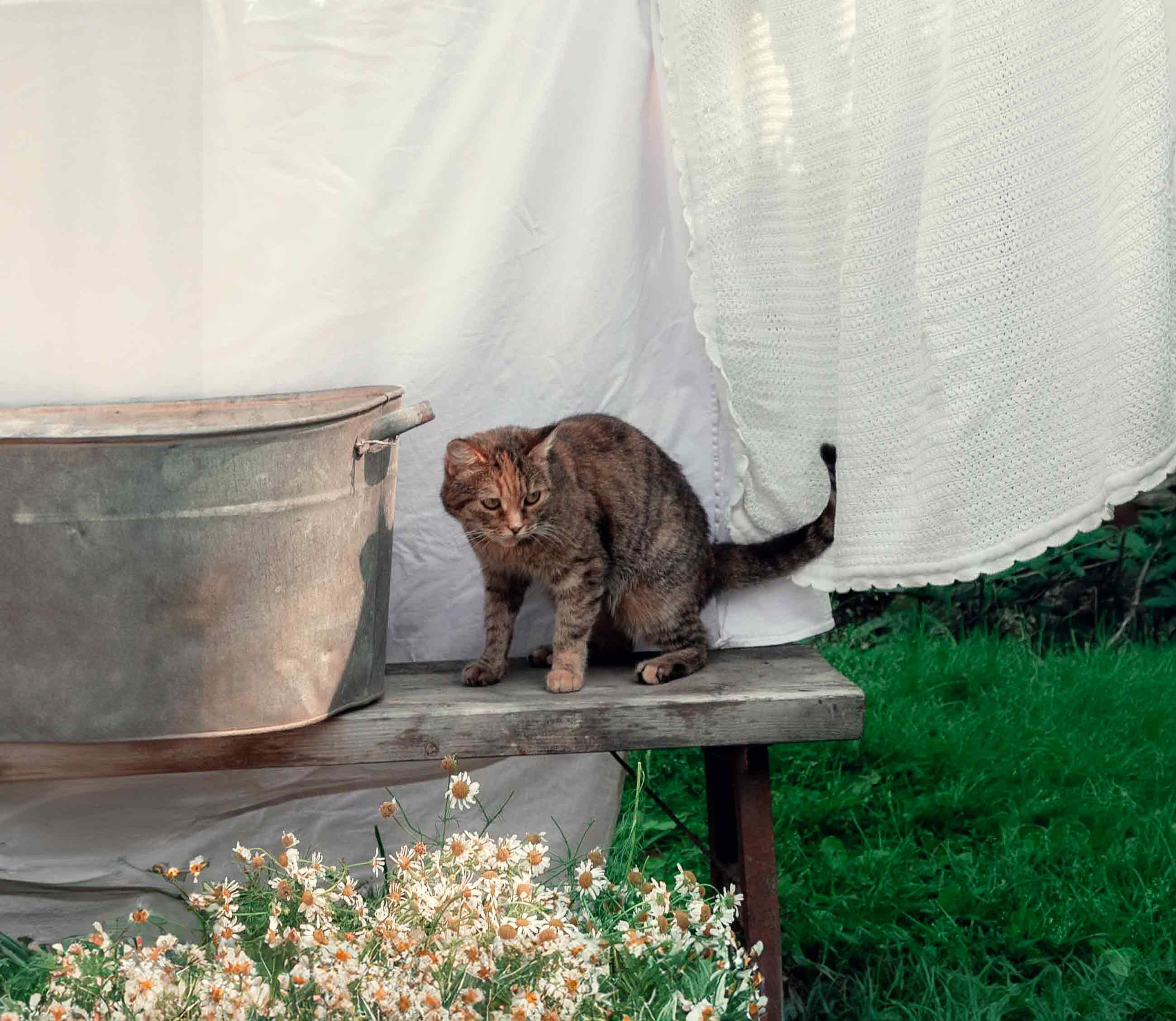 Большая стирка. Семейный, свадебный и детский фотограф в Новосибирске Ольга Хидченко