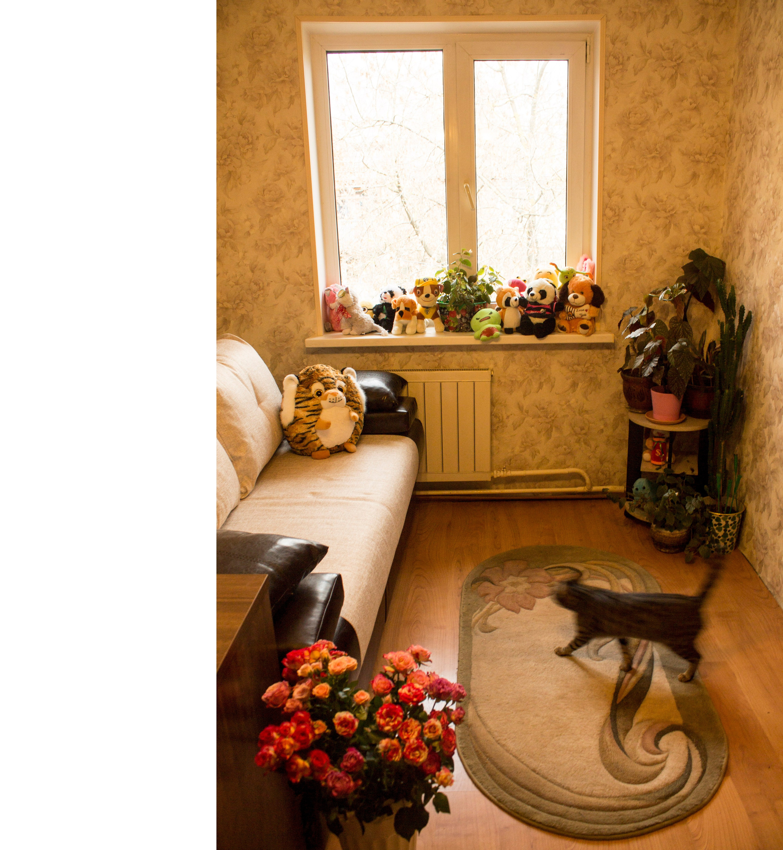 Мои первые работы. Фотограф из Москвы — DASHA NOVA | Авторская фотография в разных жанрах