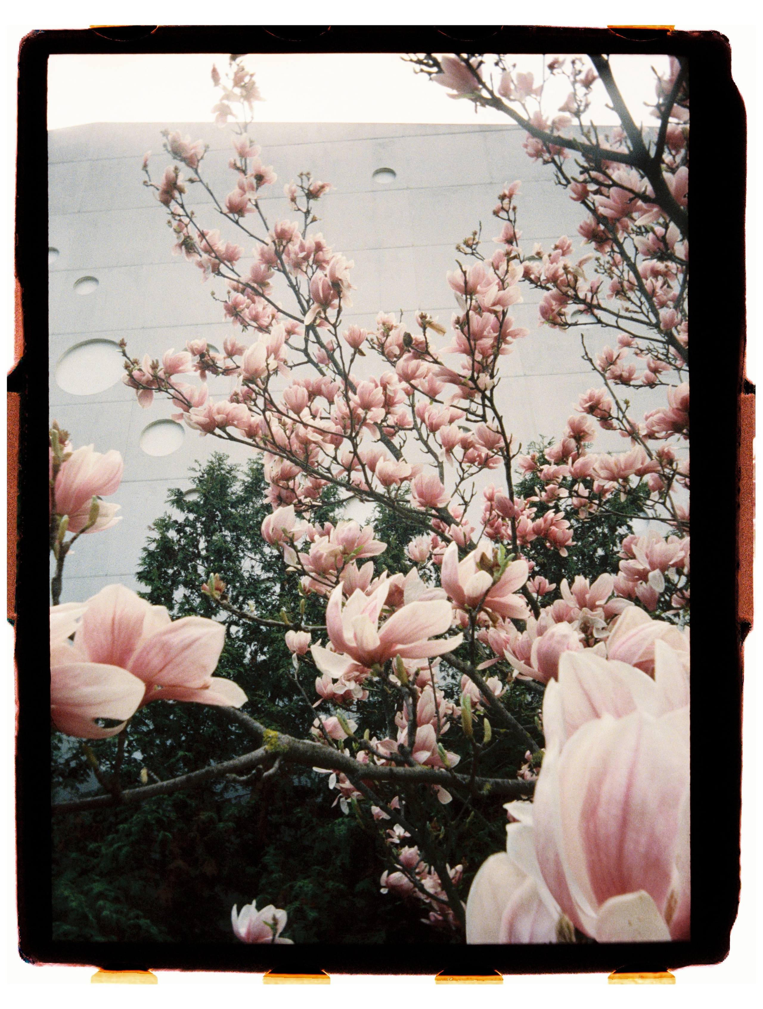 Юг. Профессиональный Фотограф во Владимире, в Москве и в Суздале — Полина Романычева