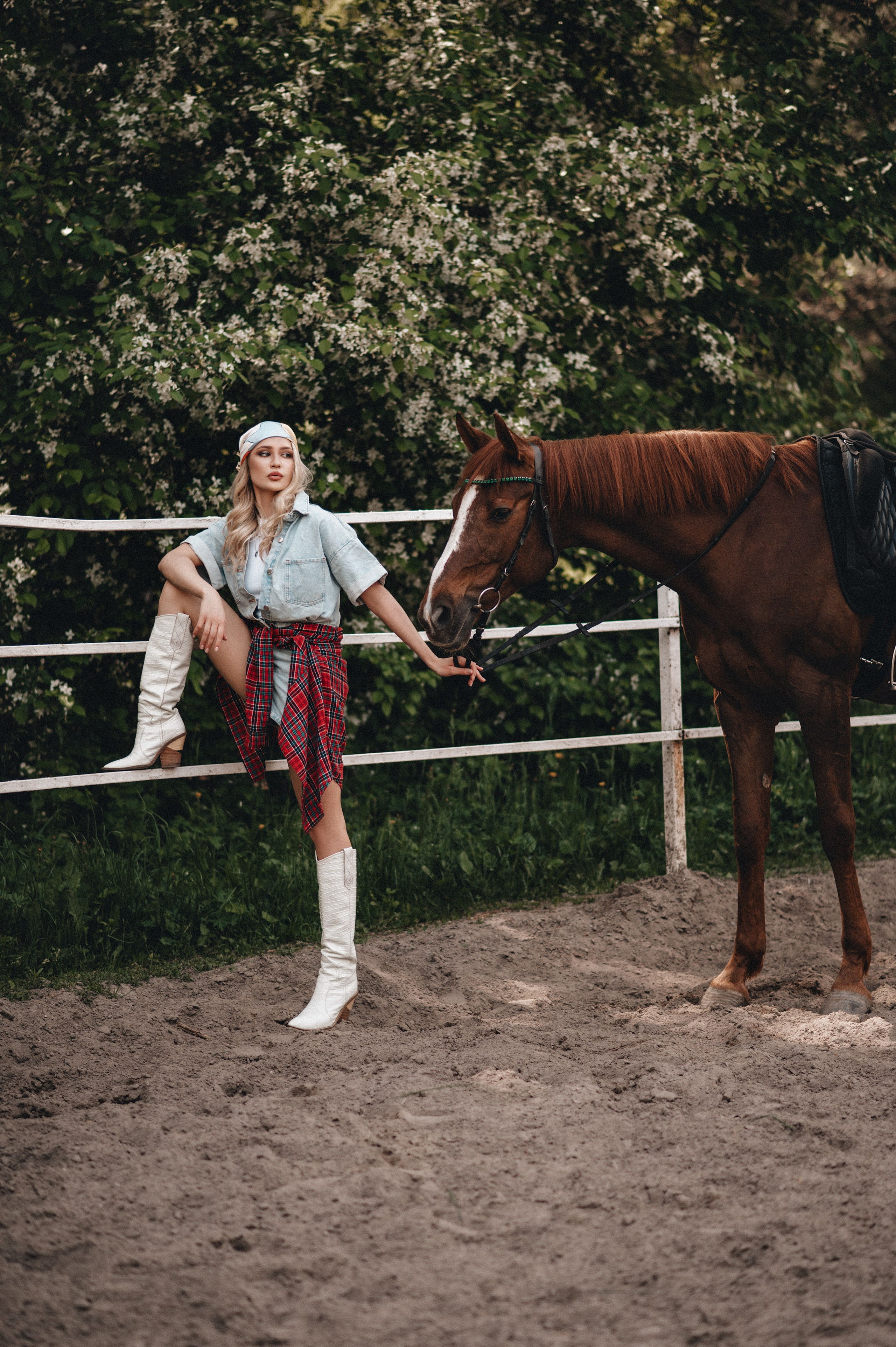 Съёмка с лошадью. Главная