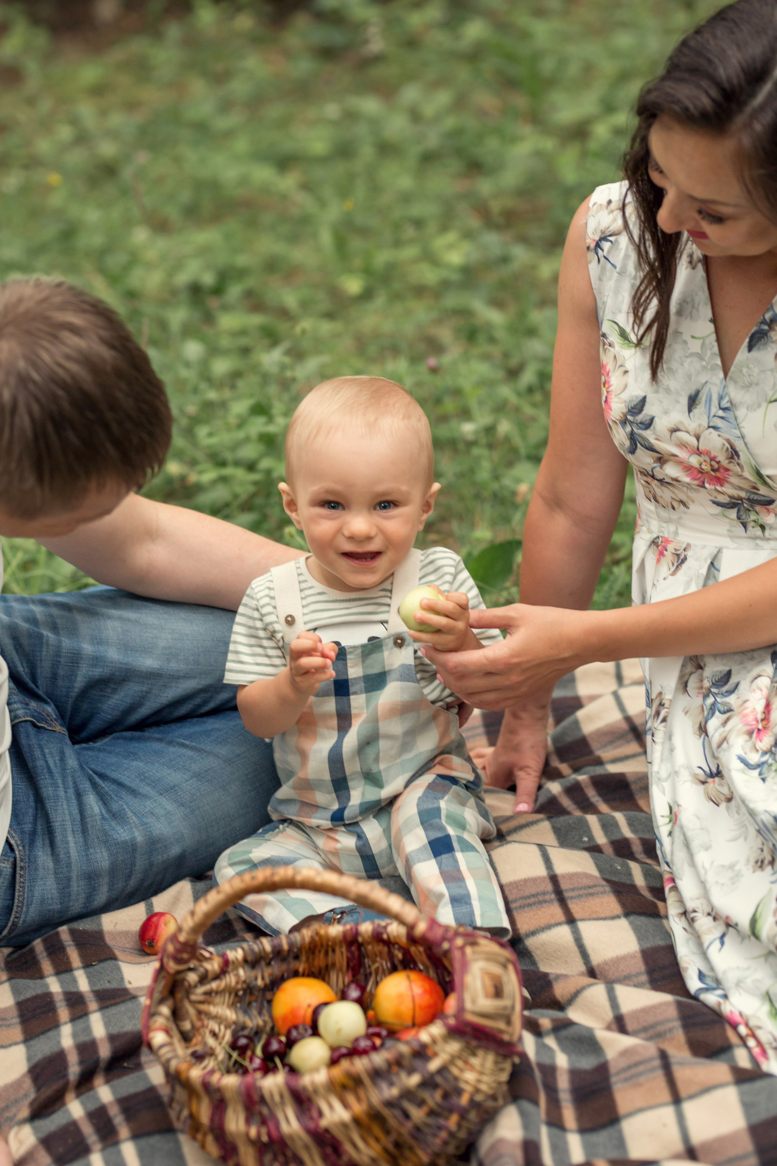 Сосны. Сайт