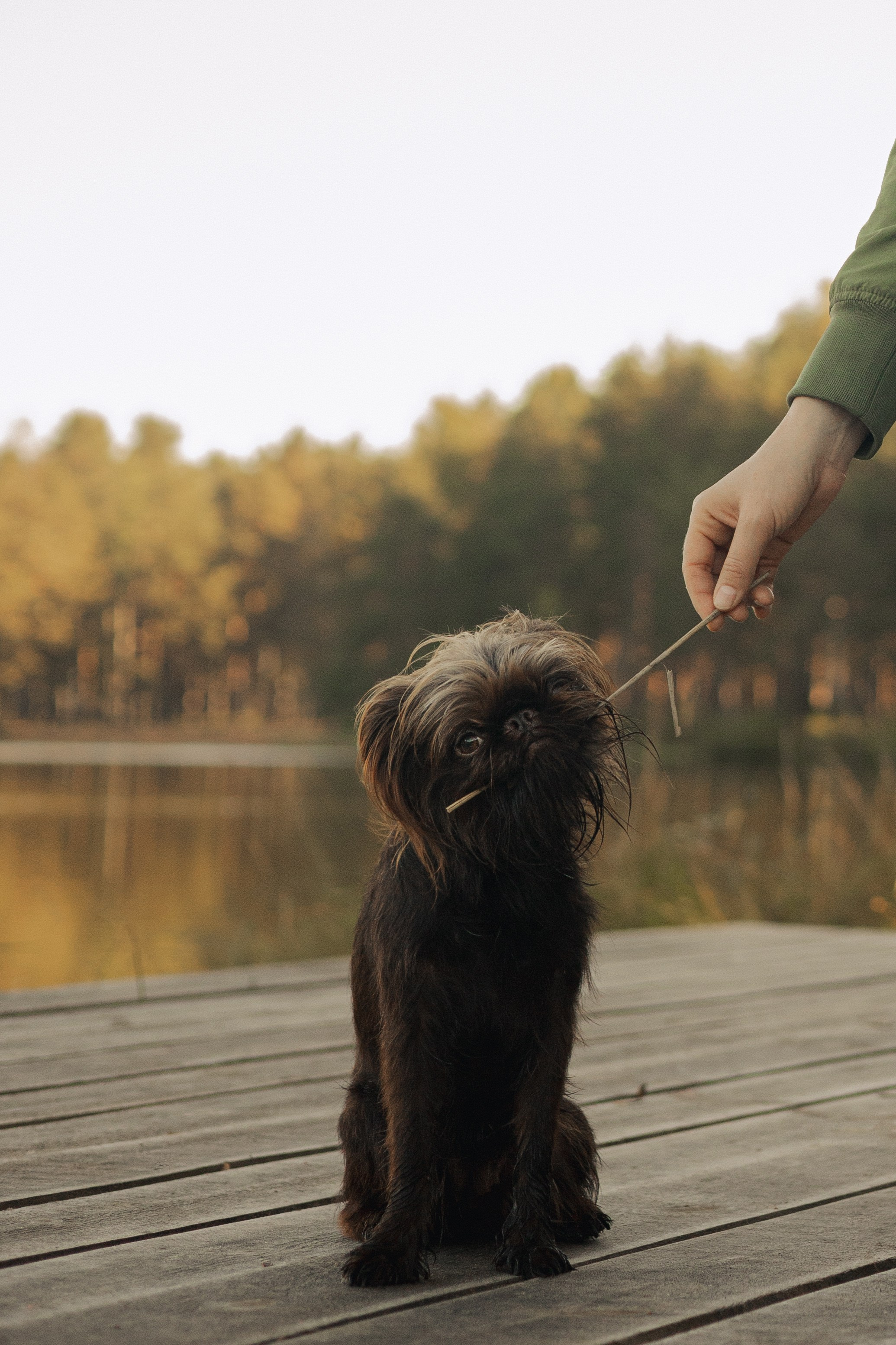 Катерина & Лунка. Фотограф — анималист •love-story•|Санкт-Петербург