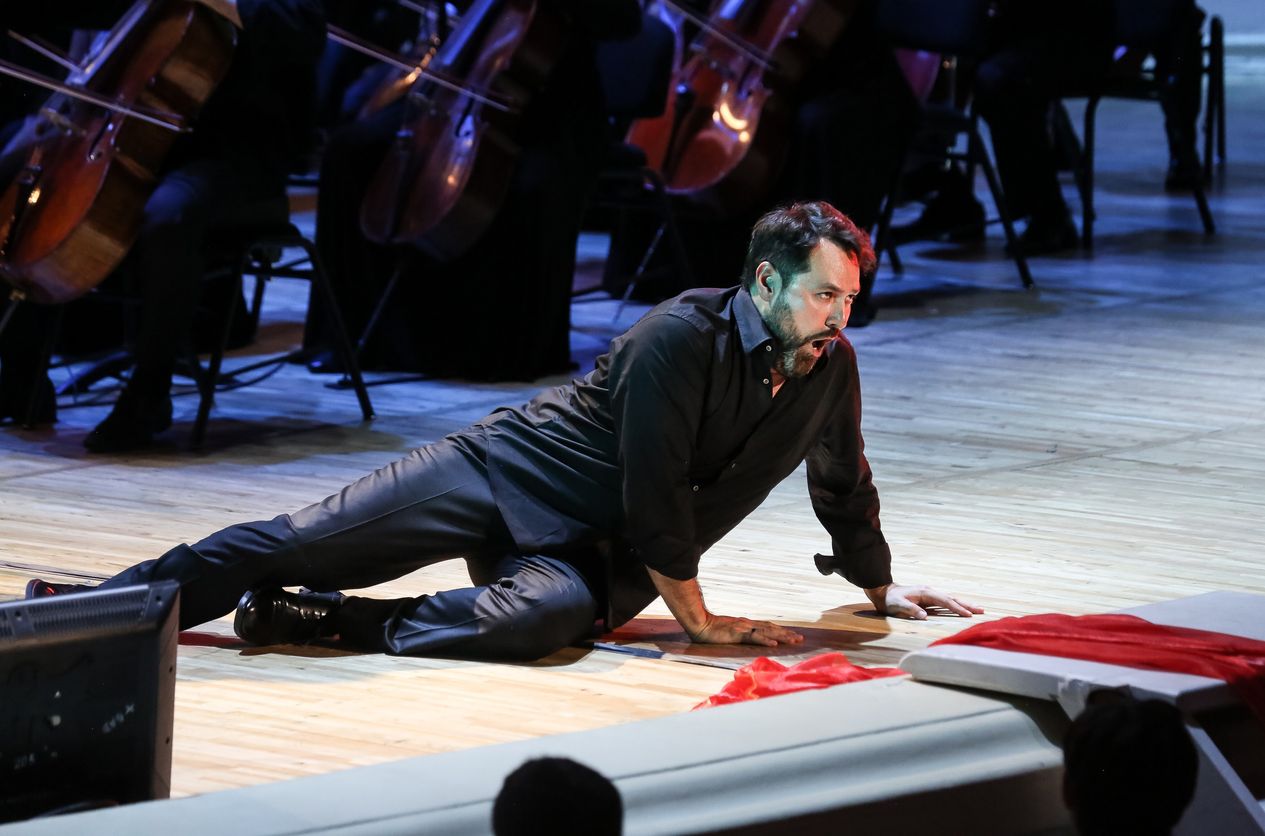 Третий вечер «Историй с оркестром»: Пушкин, Мусоргский, Буцко. Дарья Письменюк / Darya Leitstern — фотограф, музыкант, журналист, путешественник