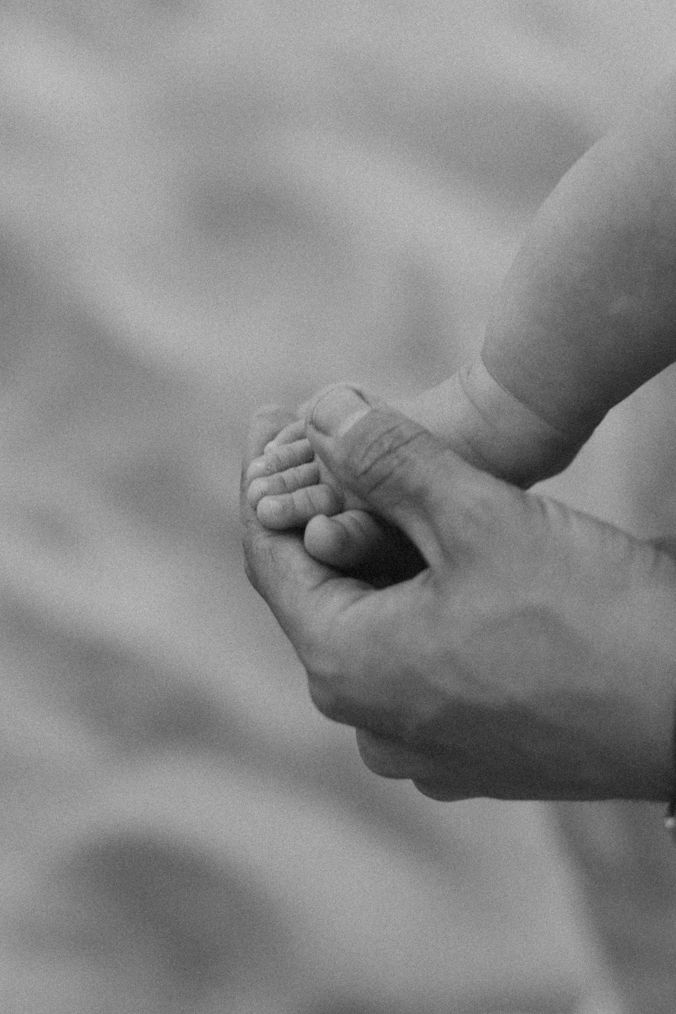 Булочка. Фотограф из Петербурга