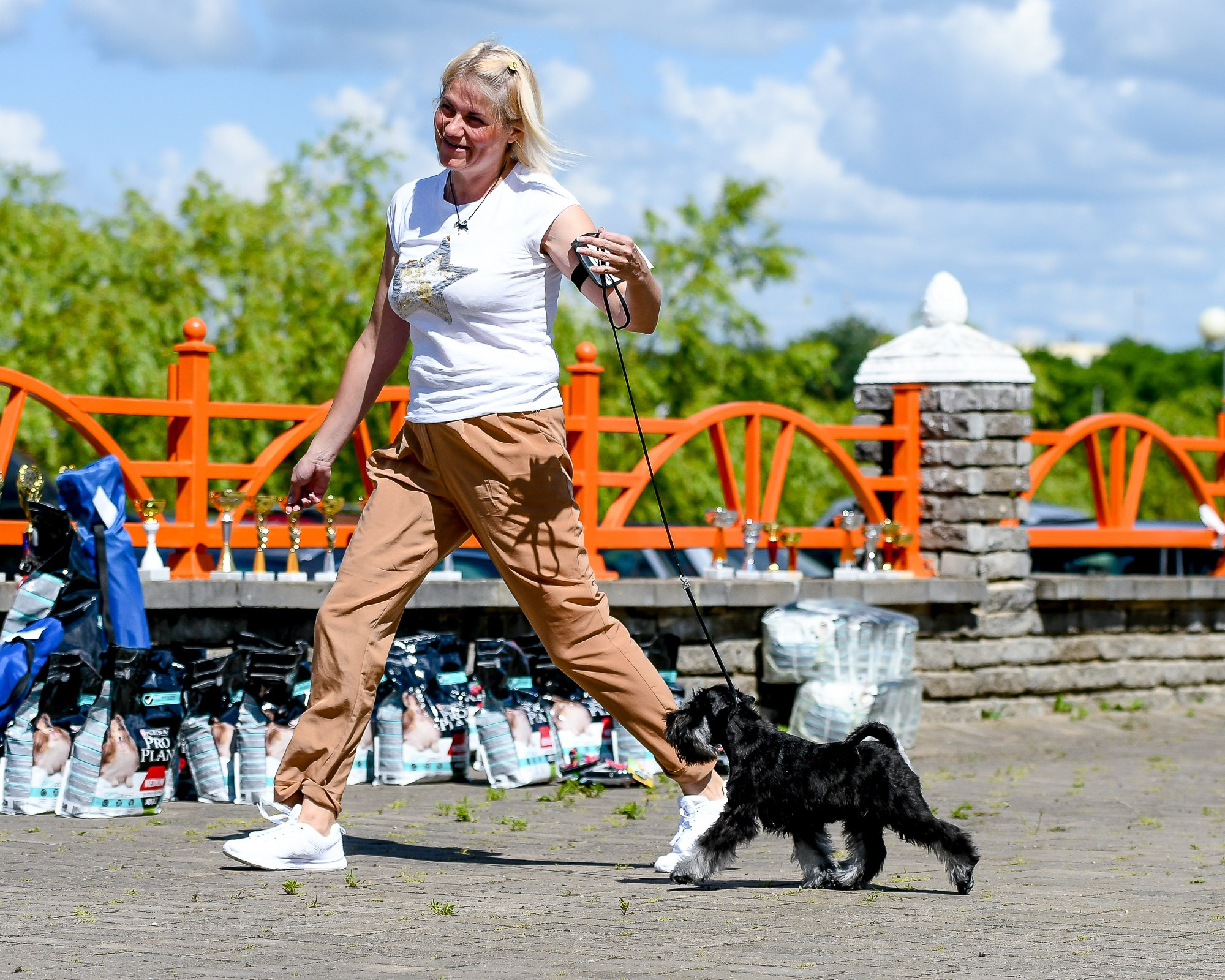 Крейг/Delinso Balance Otem Temin. Питомник цвергшнауцеров в Беларуси «Делинсо Бэлэнс»