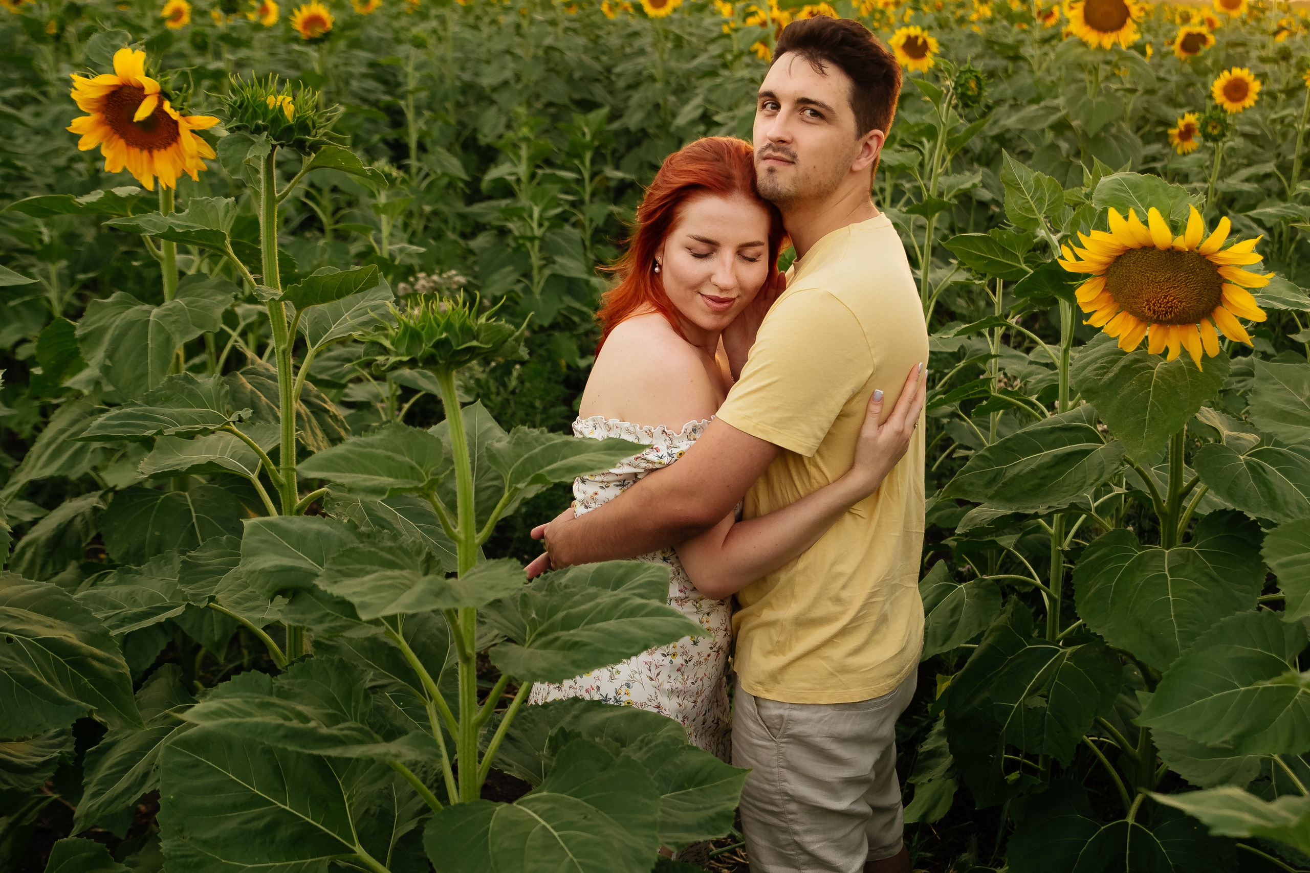 Подсолнухи. Свадебный и семейный фотограф в Краснодаре Илонна Ковалева