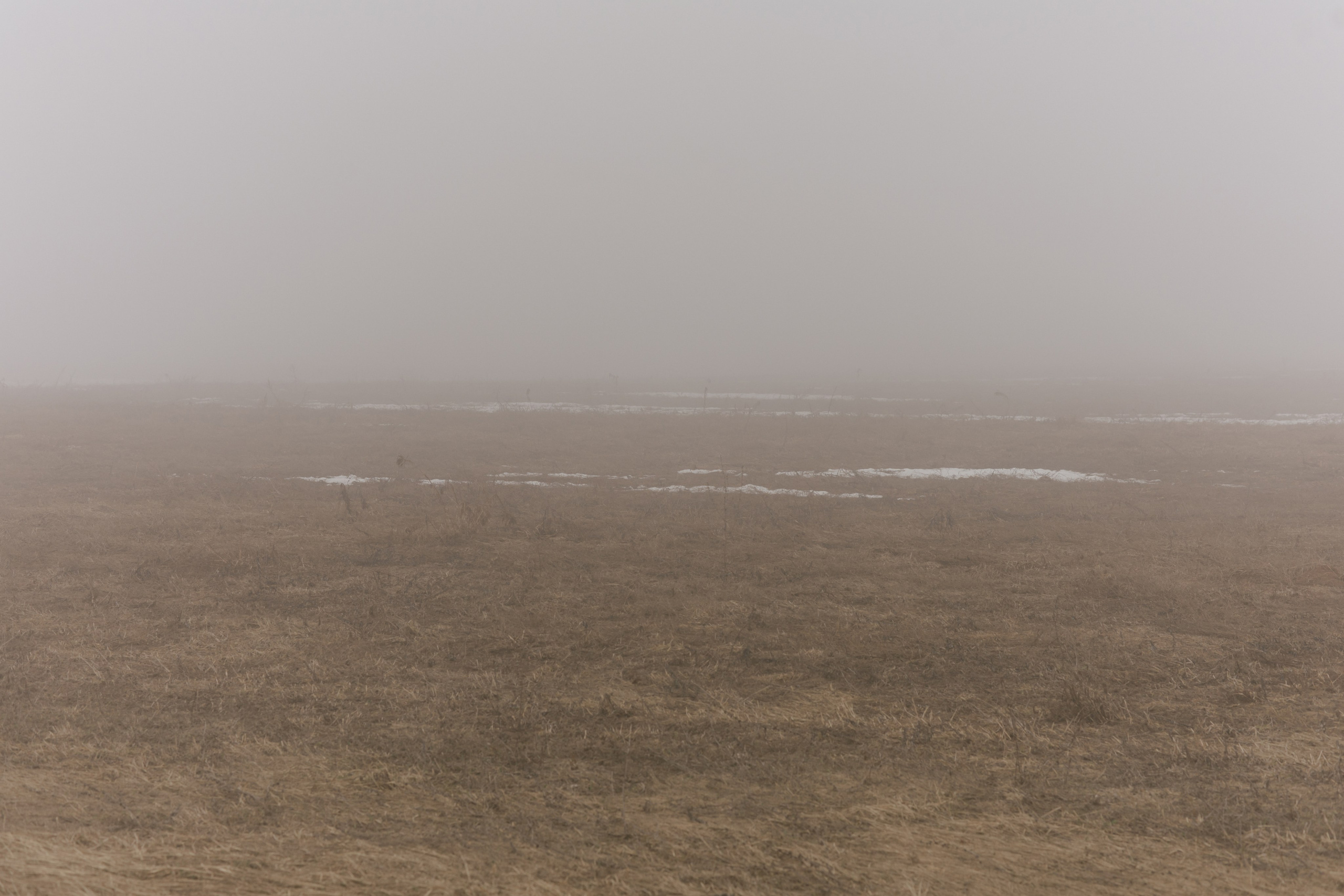 Природа деревни. Фотограф Эльмира Лин