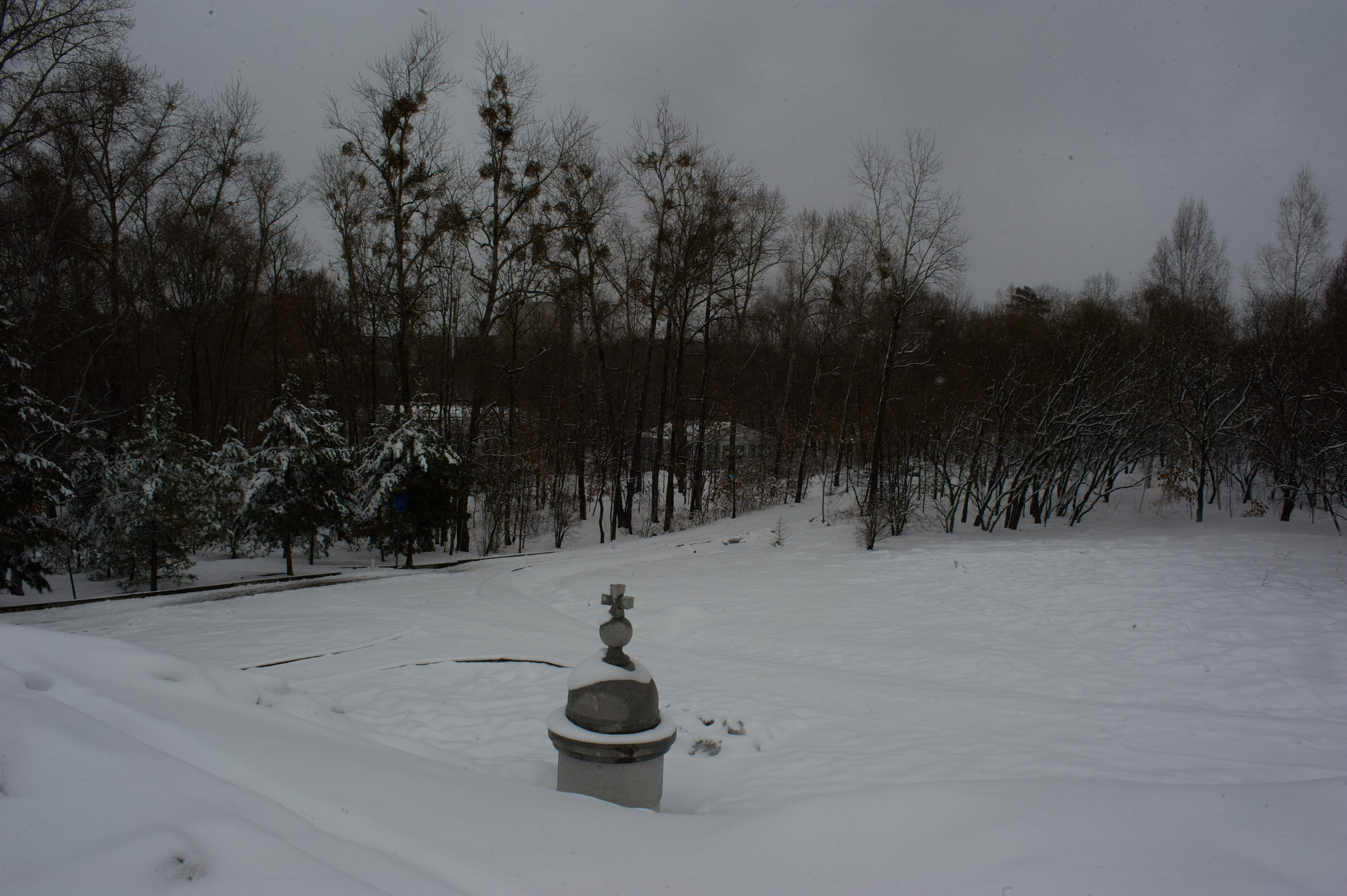 Khabarovsk. Фотограф Хабаровск София Кузнецова