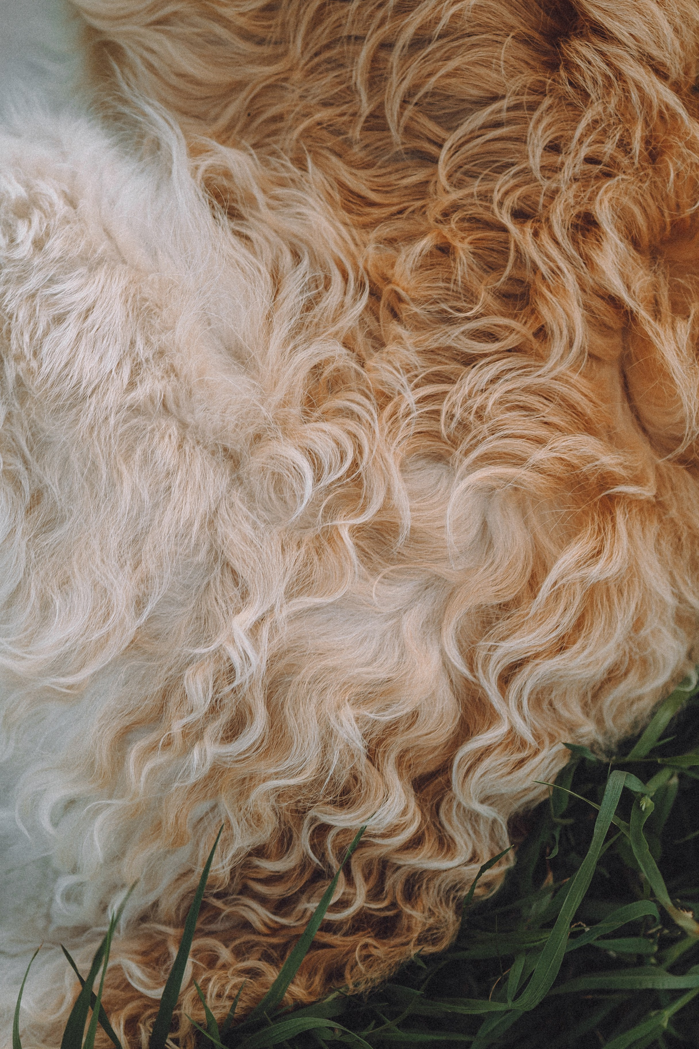 Илай, Зайка и их семья