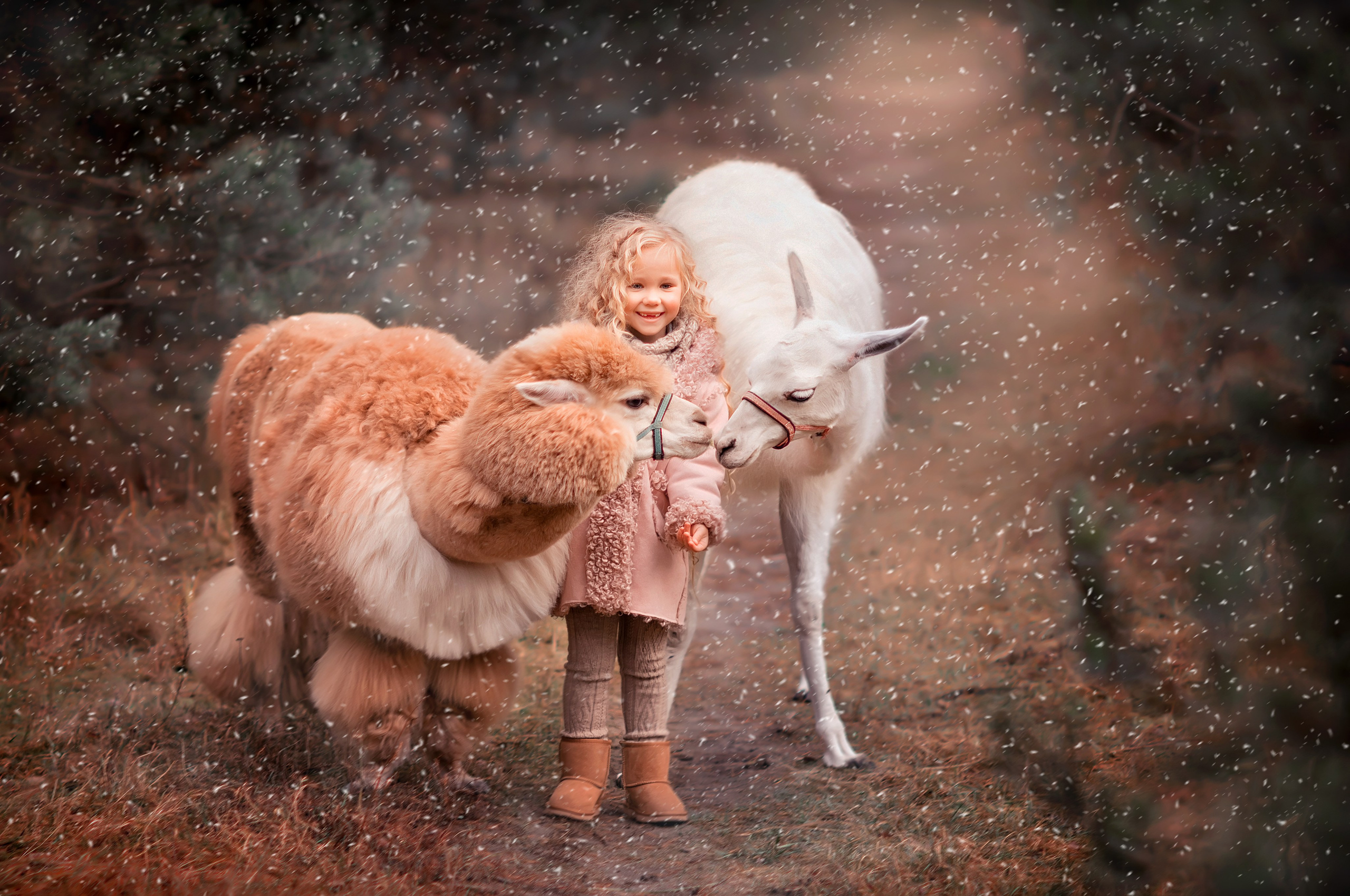 Обучение фото