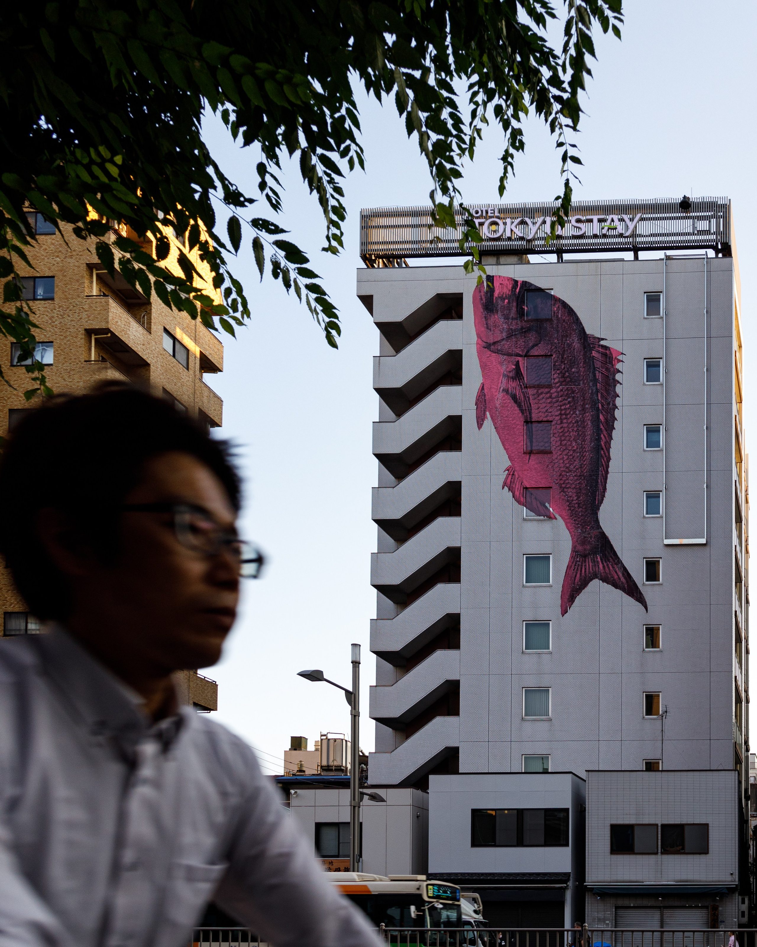 Япония. Фотограф Павел Подшивалов