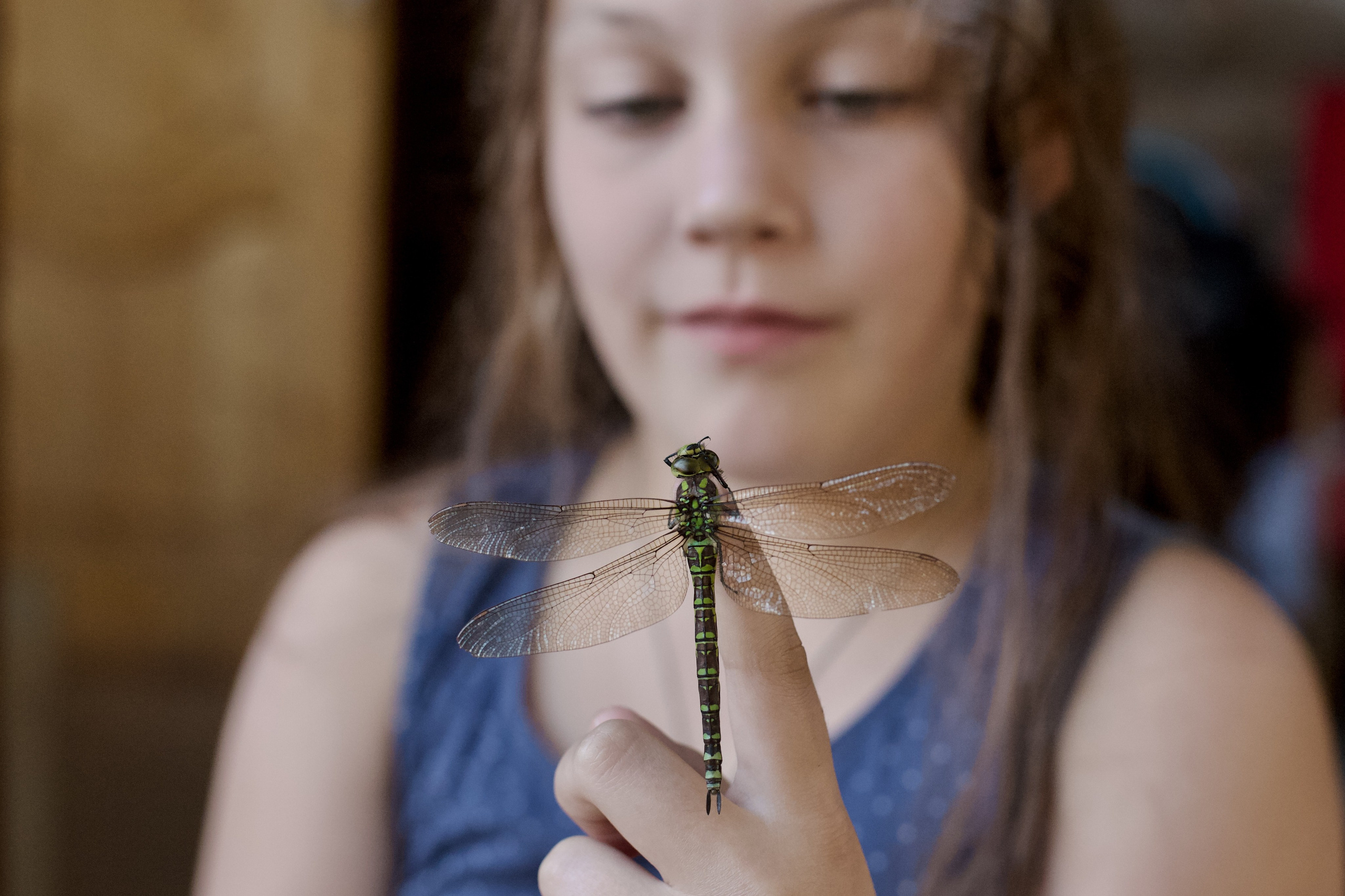Чудесная природа. Школьные выпускные альбомы в Москве Марина Николаева