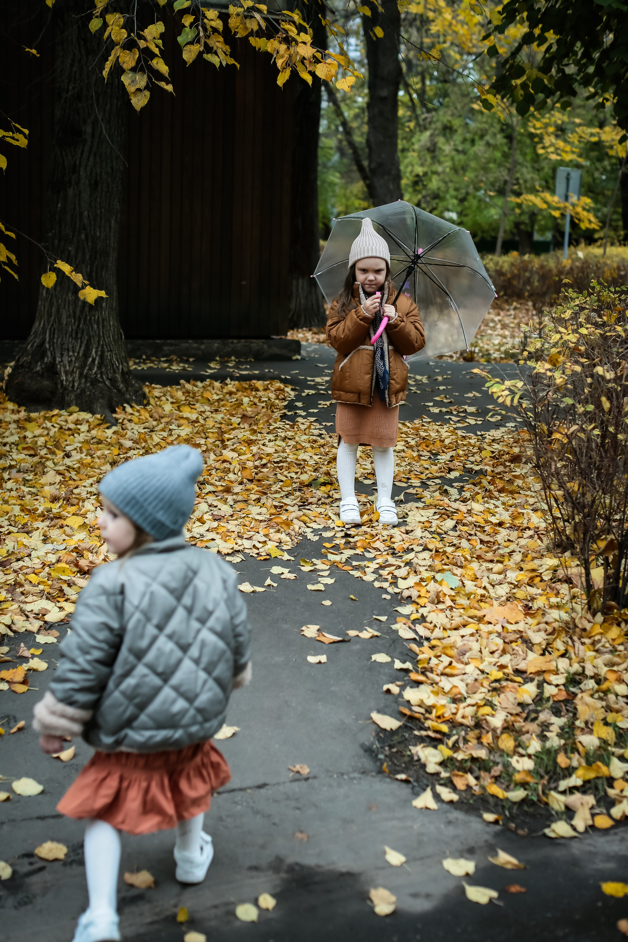 Семейная осенняя фотосессия. Food-фотограф, предметный, семейный, фотограф в Москве, Асеева Яна