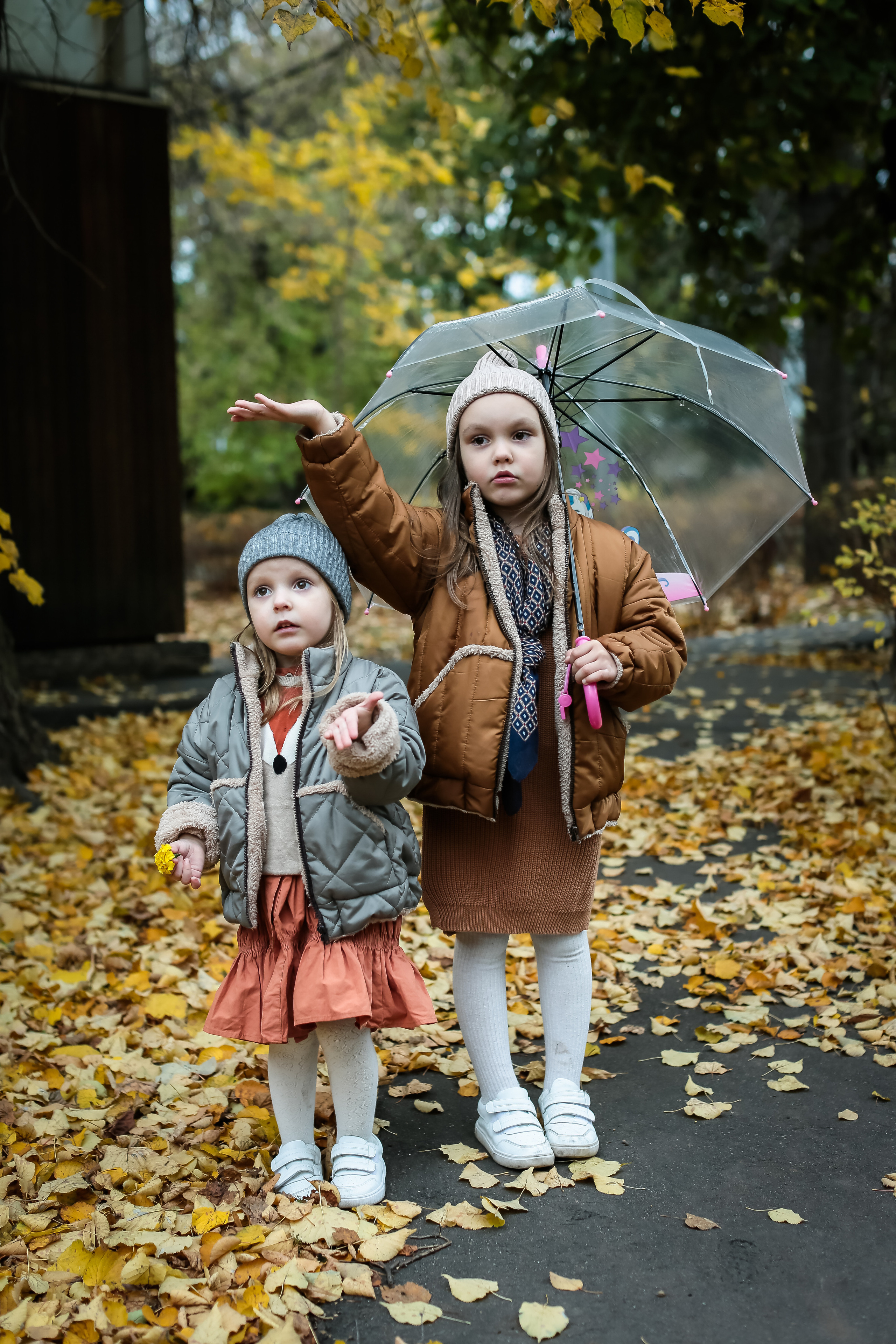Семейная осенняя фотосессия. Food-фотограф, предметный, семейный, фотограф в Москве, Асеева Яна