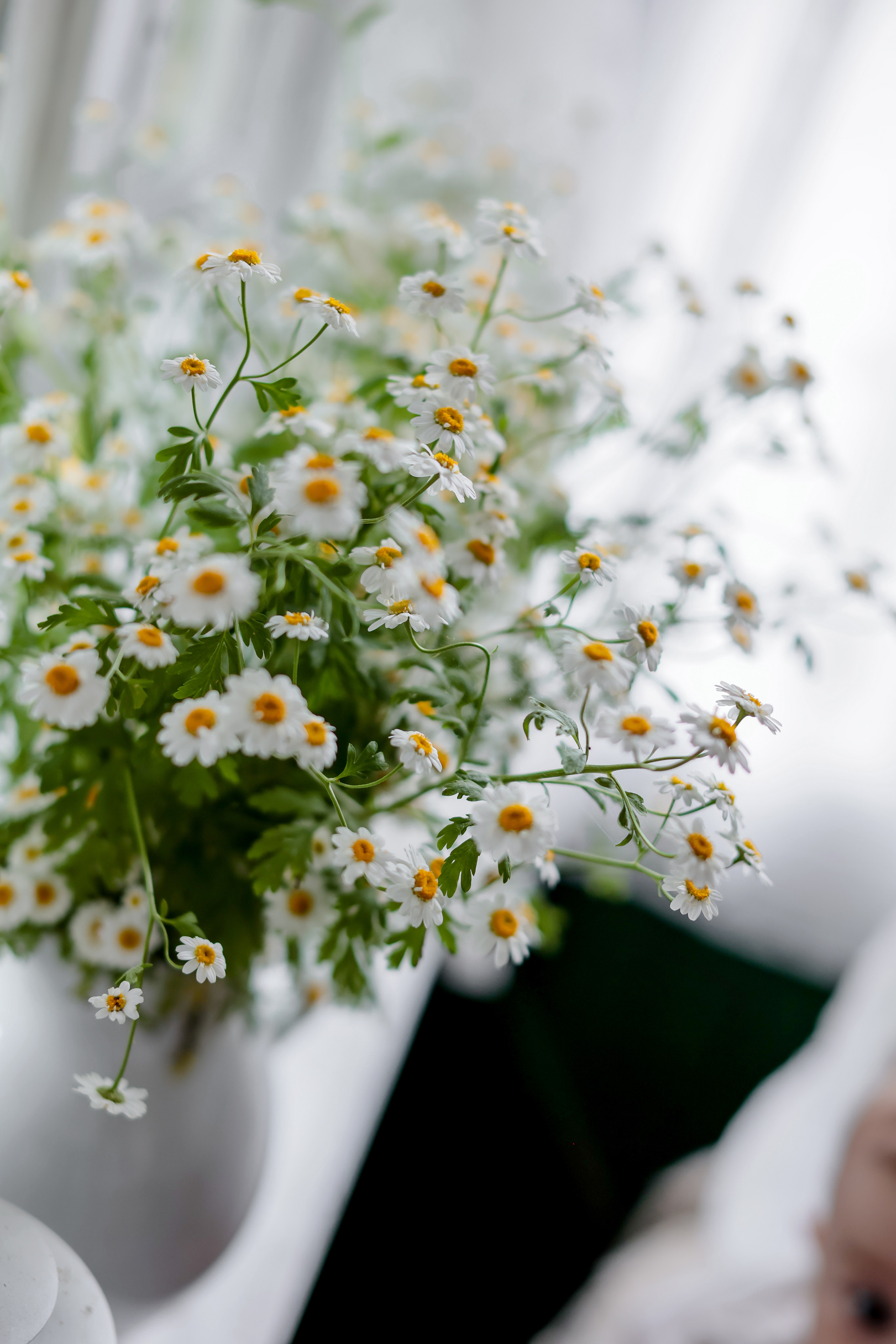 Семейная летняя фотосессия. Food-фотограф, предметный, семейный, фотограф в Москве, Асеева Яна