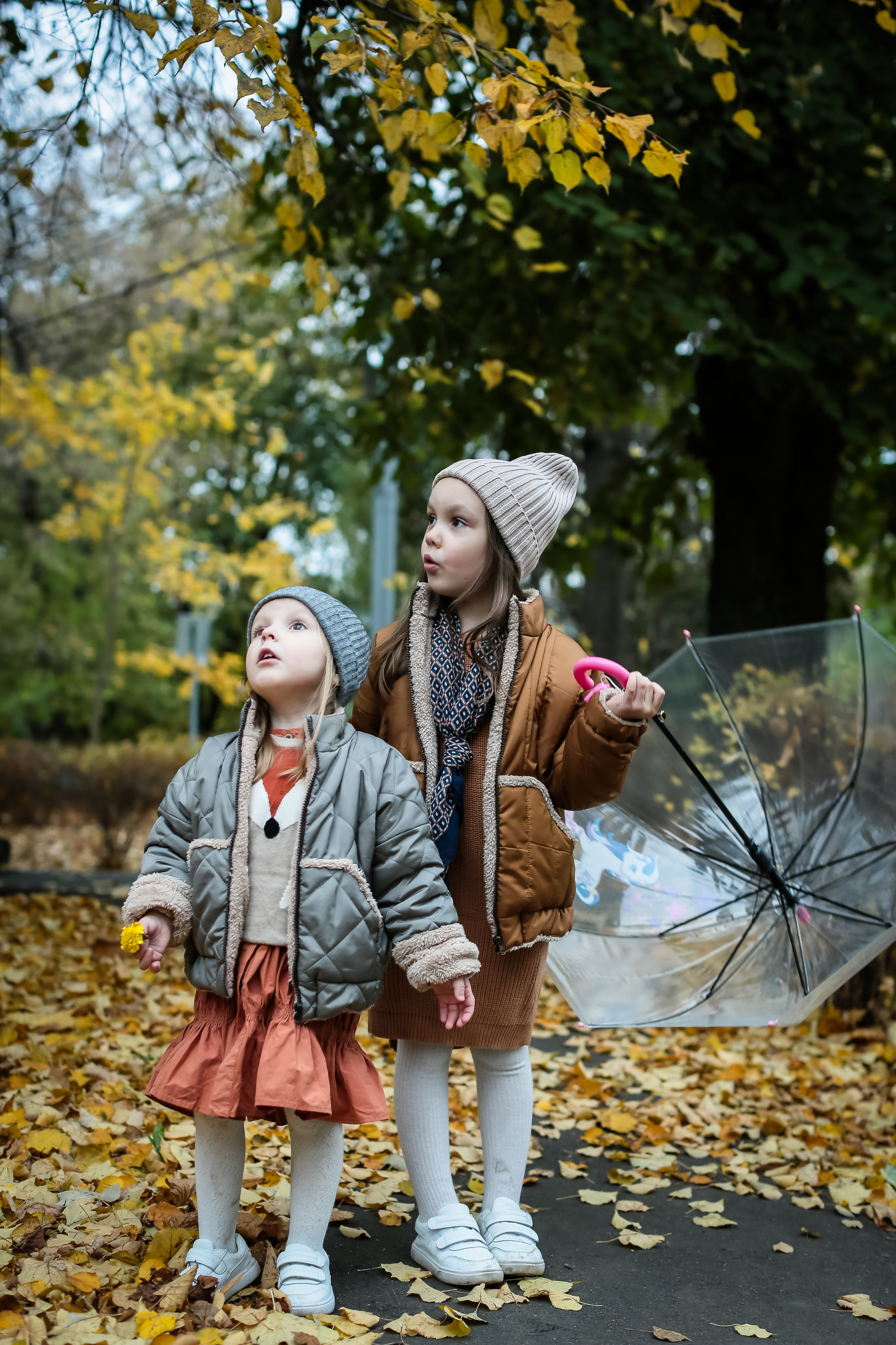 Семейная осенняя фотосессия. Food-фотограф, предметный, семейный, фотограф в Москве, Асеева Яна