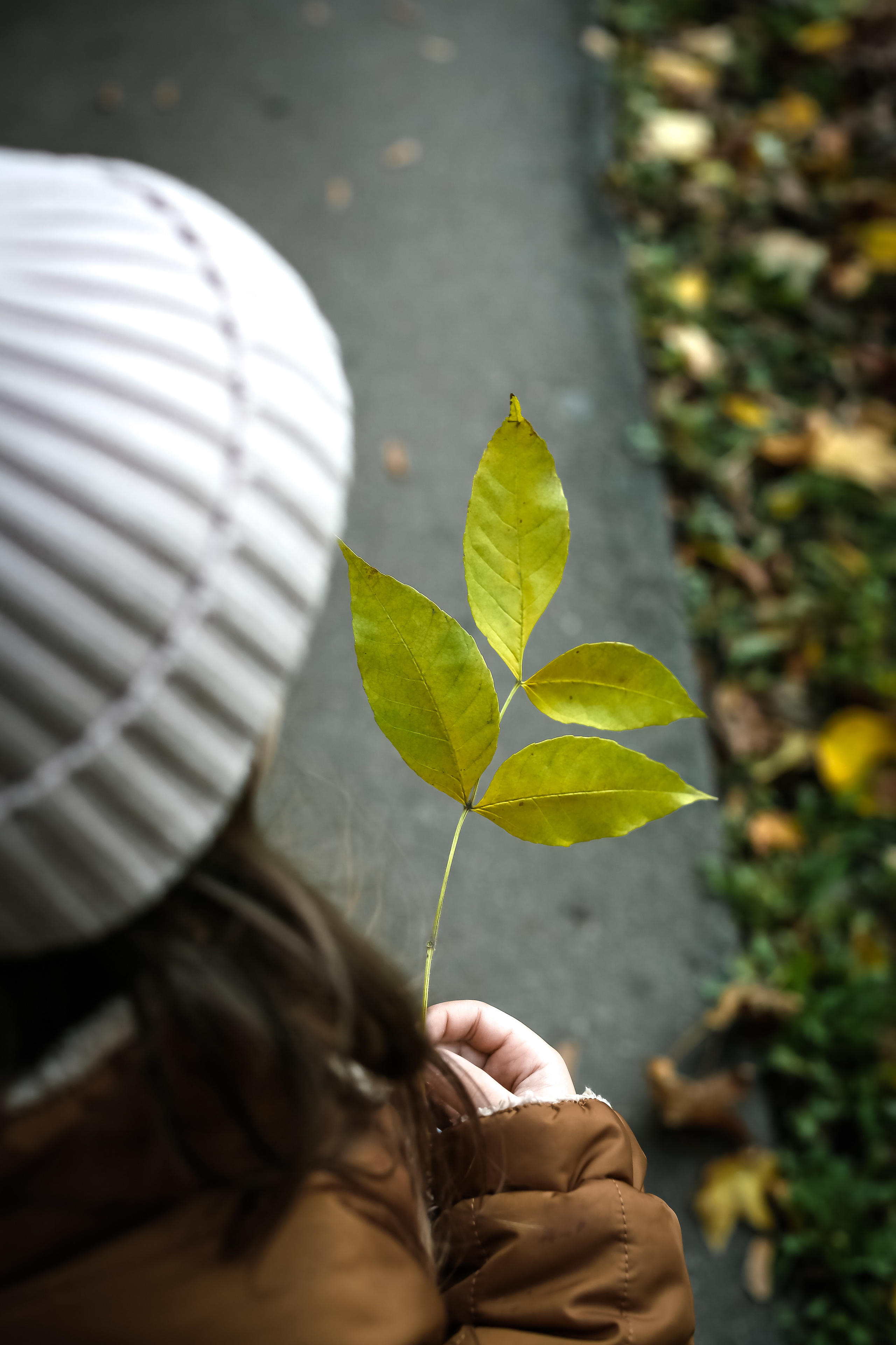 Прогулочная семейная фотосессия. Food-фотограф, предметный, семейный, фотограф в Москве, Асеева Яна
