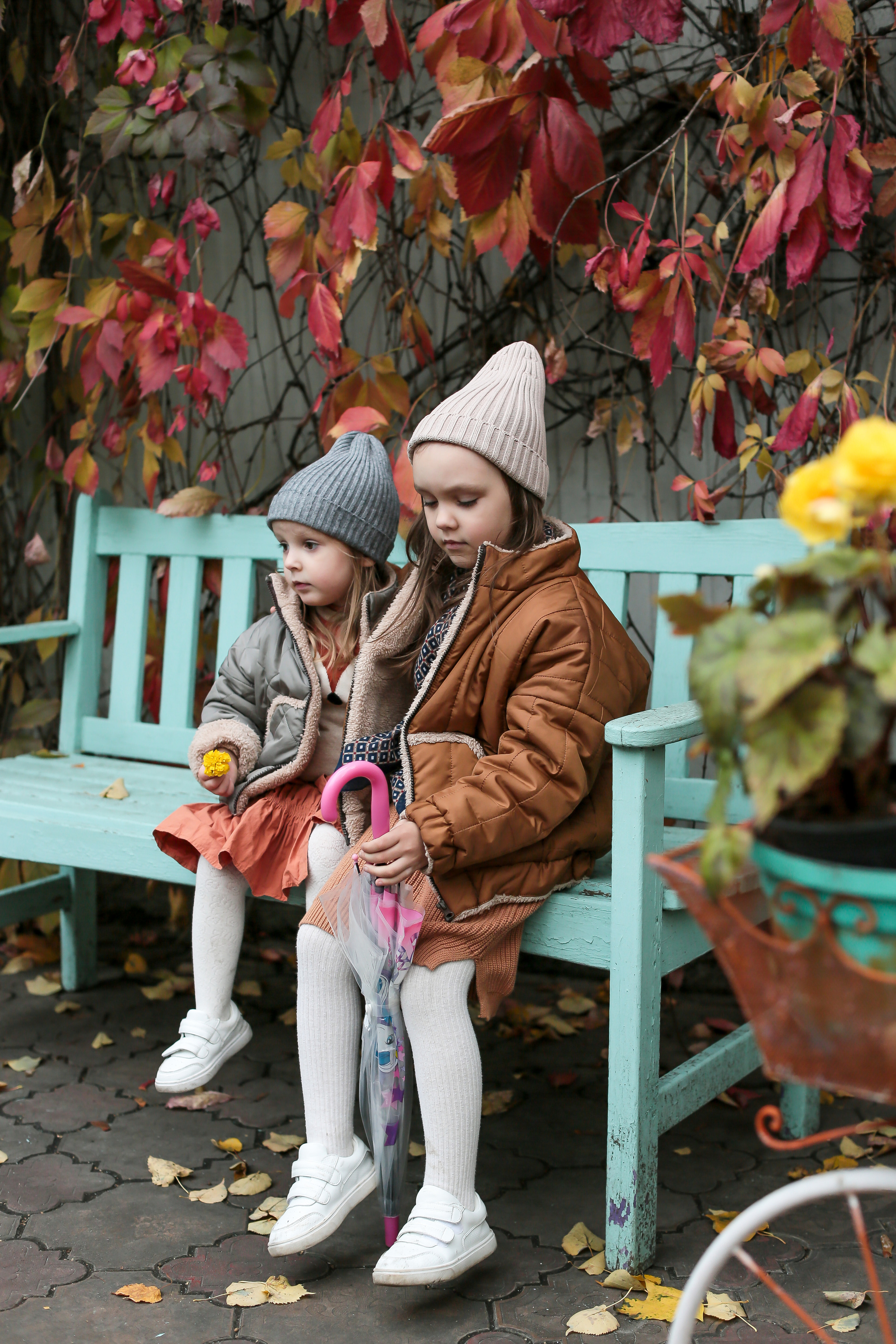 Семейная осенняя фотосессия. Food-фотограф, предметный, семейный, фотограф в Москве, Асеева Яна