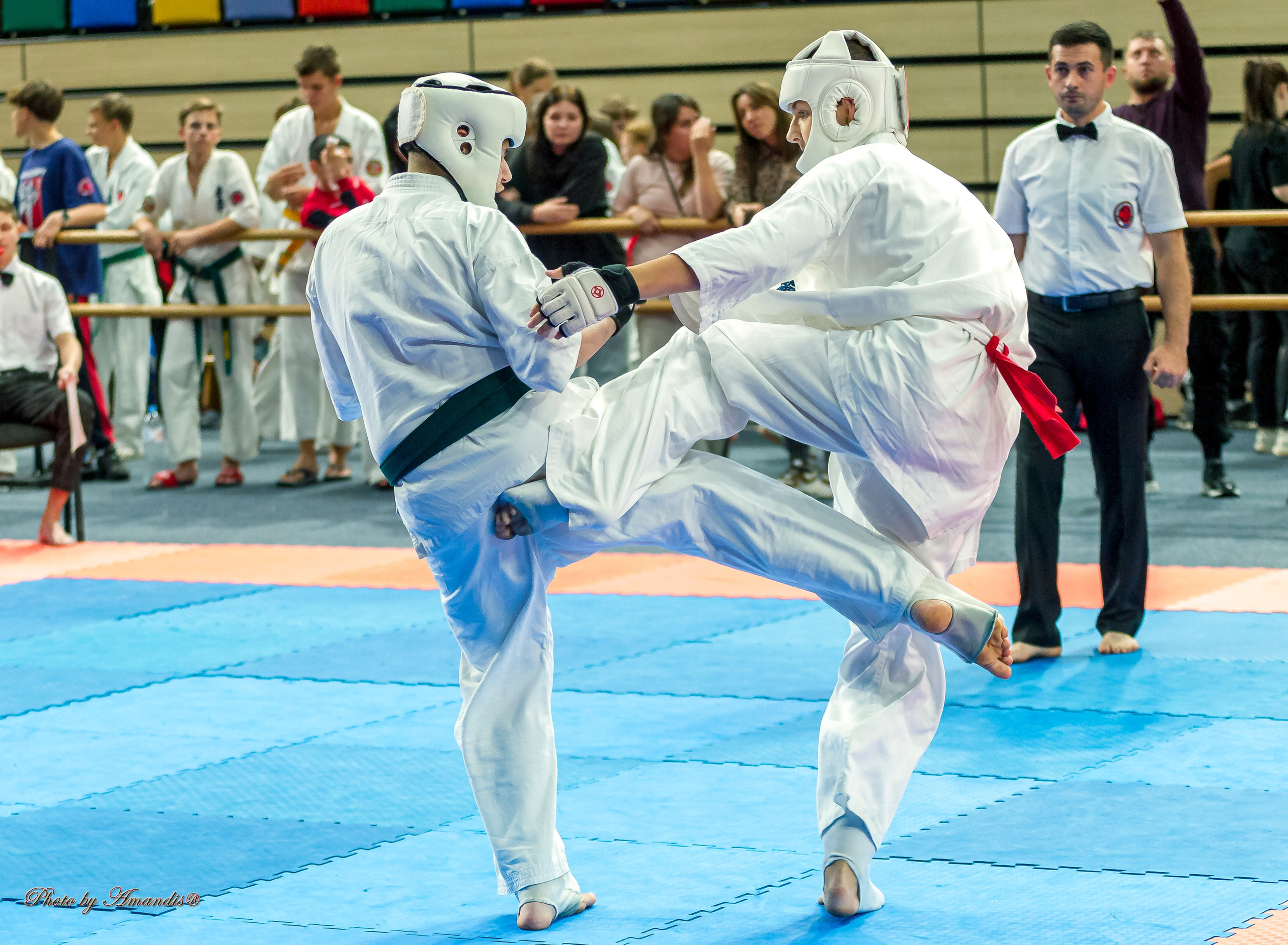Первенство Московской области по Киокушин в СК «Жаворонки». Репортажная съемка в Москве и области. Анималистика