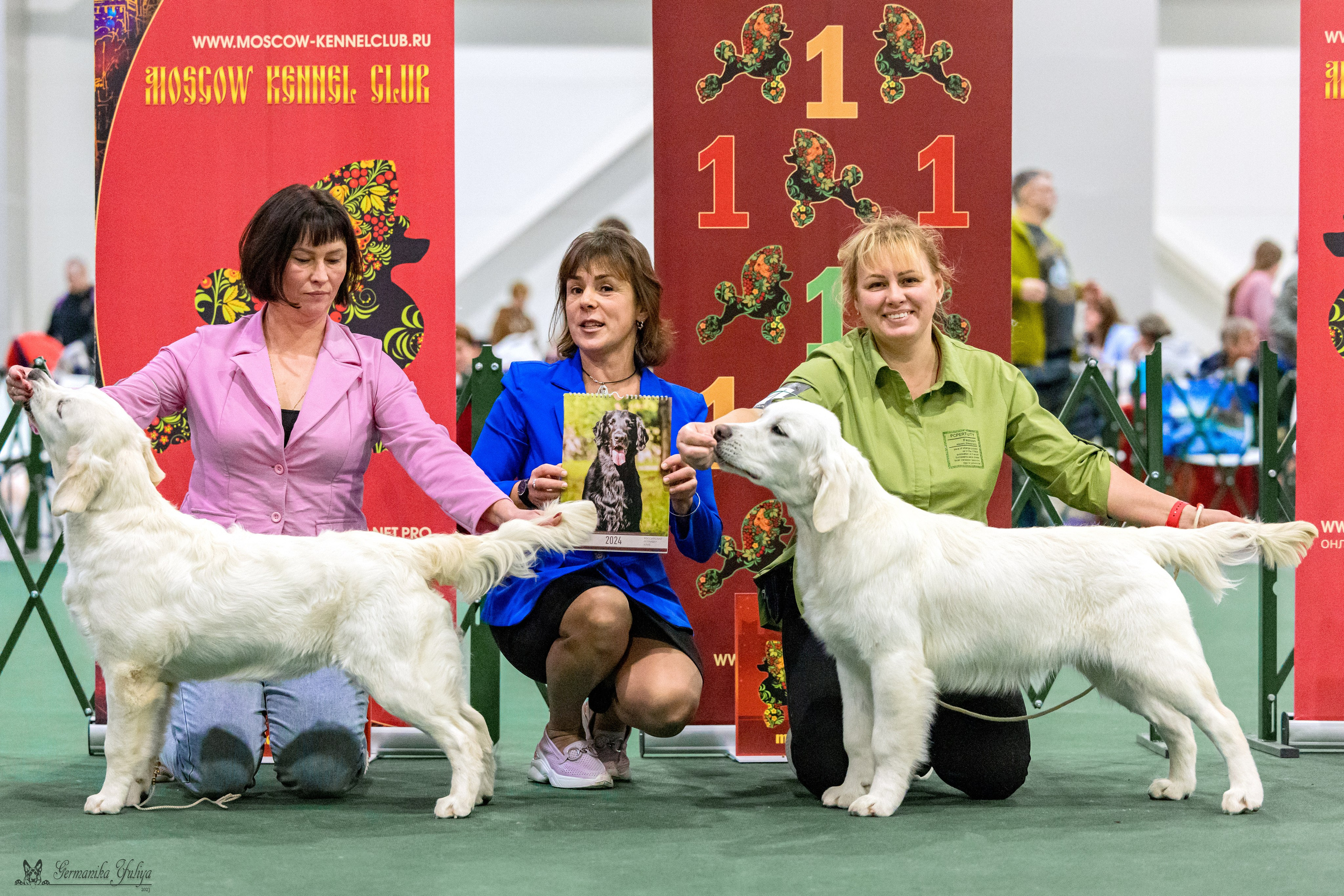 Сфера 29.10,Крокус 4.11,Сфера 12.11.2023. Фотограф-анималист Юлия Германика