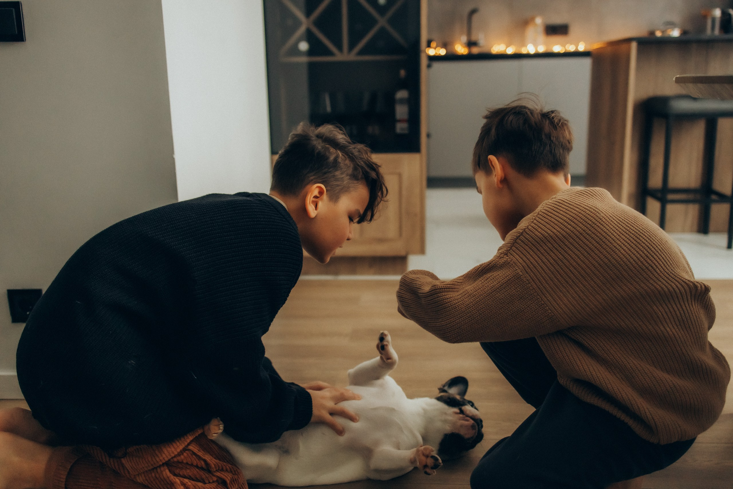 Руслан, Тимур и Луна. Семейный фотограф Москва