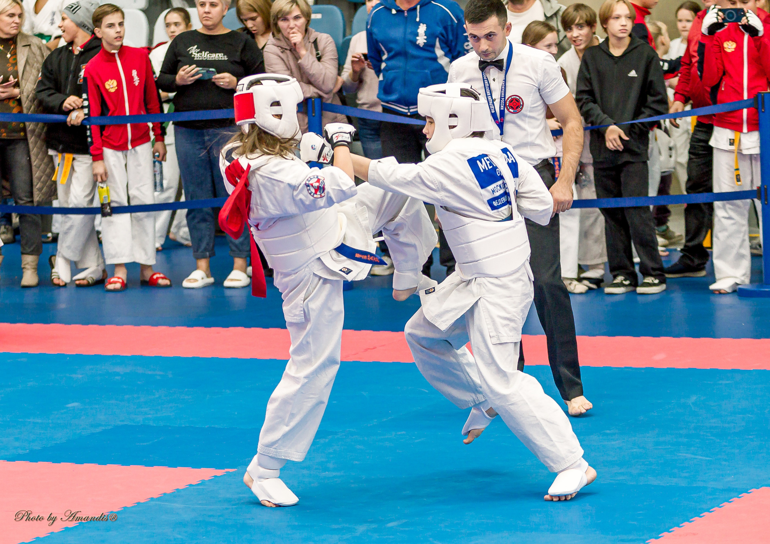 Чемпионат по Киокушинкай Центрального Федерального округа. Репортажная съемка в Москве и области. Анималистика