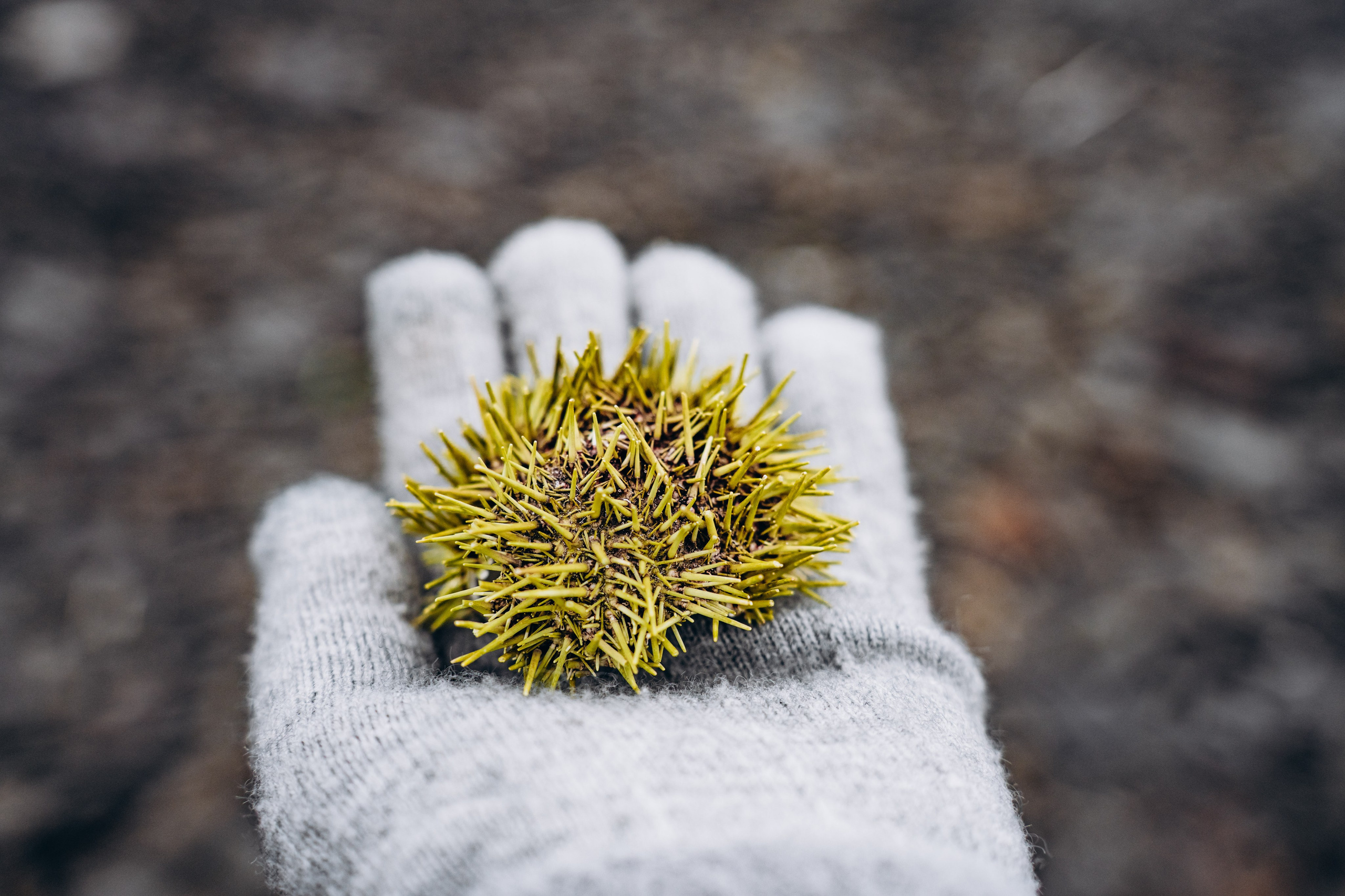 СЕВЕР. Event фотограф Степанова Александра