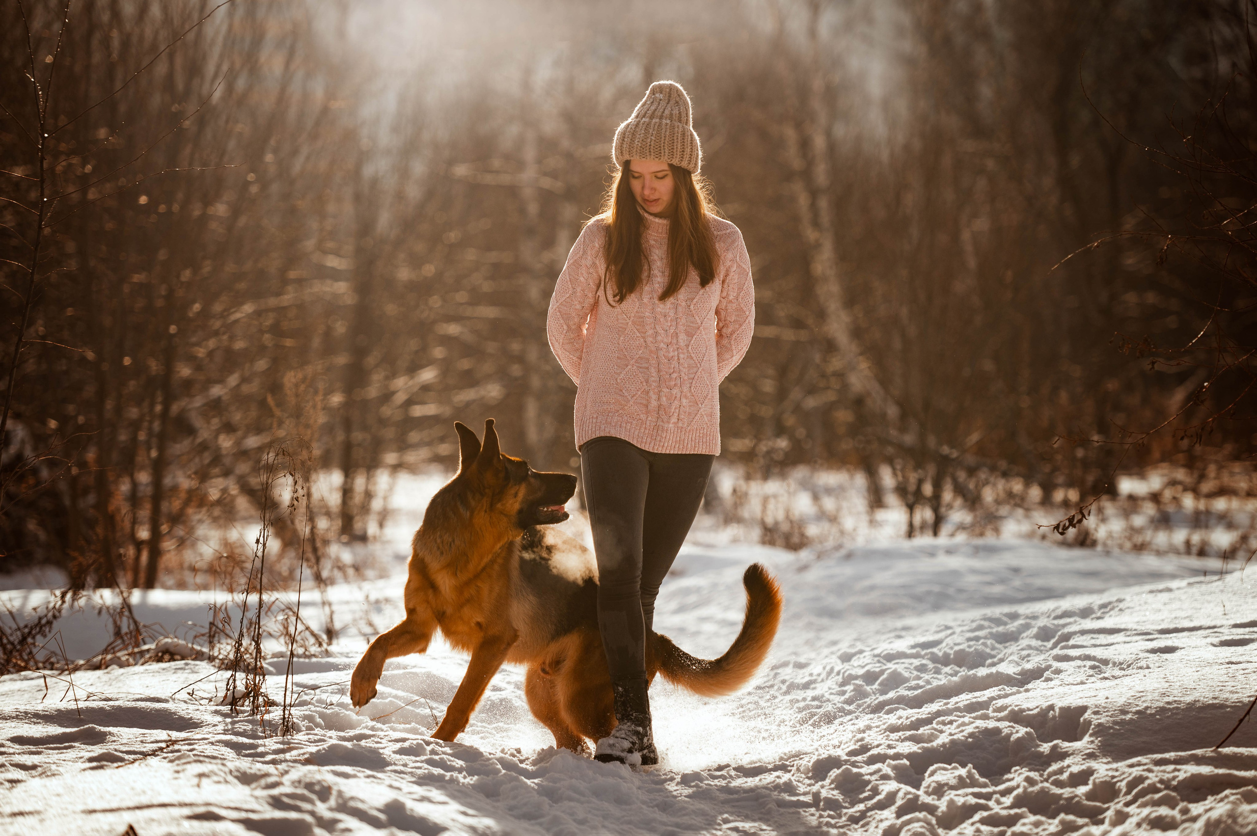 Вольт. Фотограф-анималист