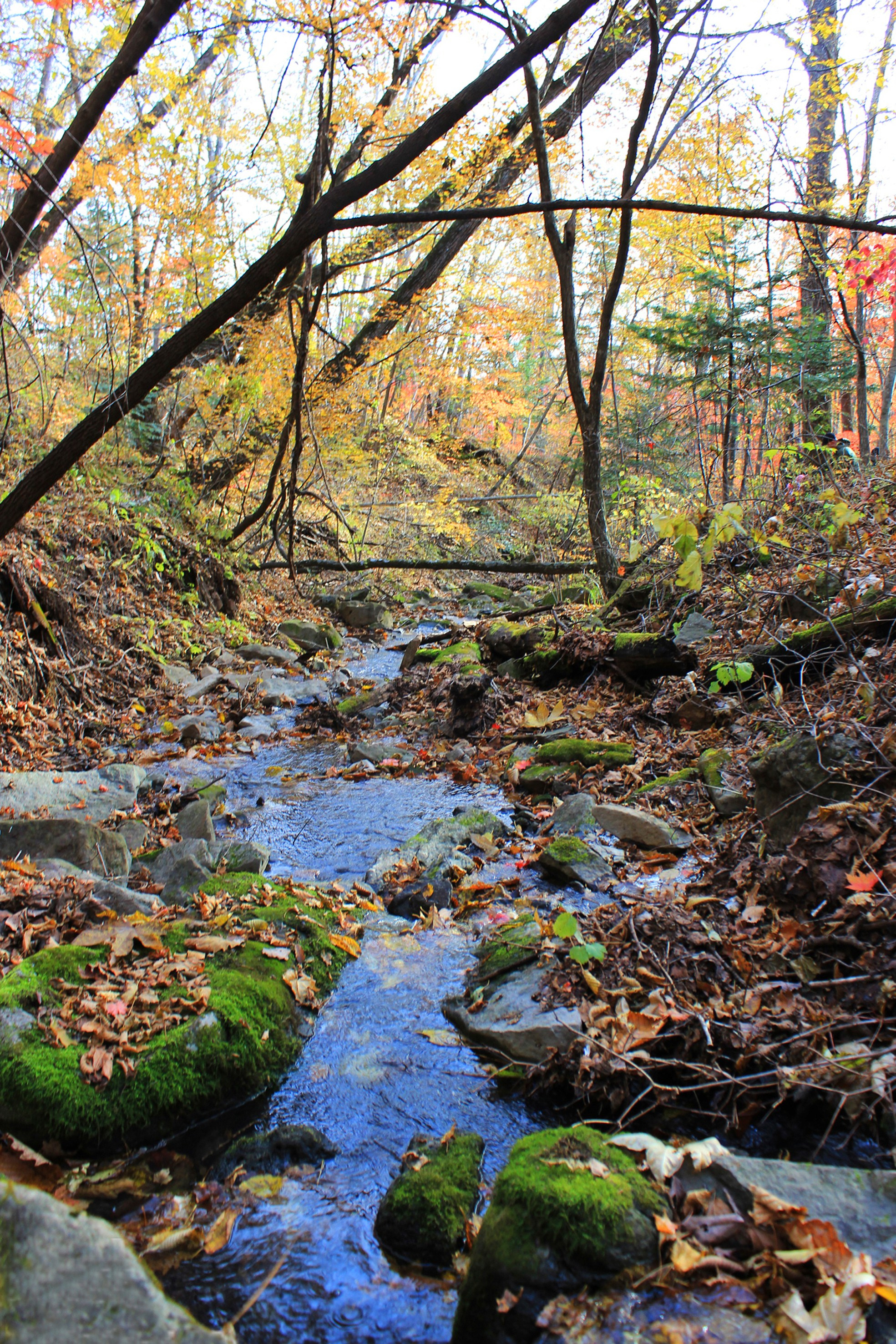 Природа. Команда фотографов Кристины Ивановой
