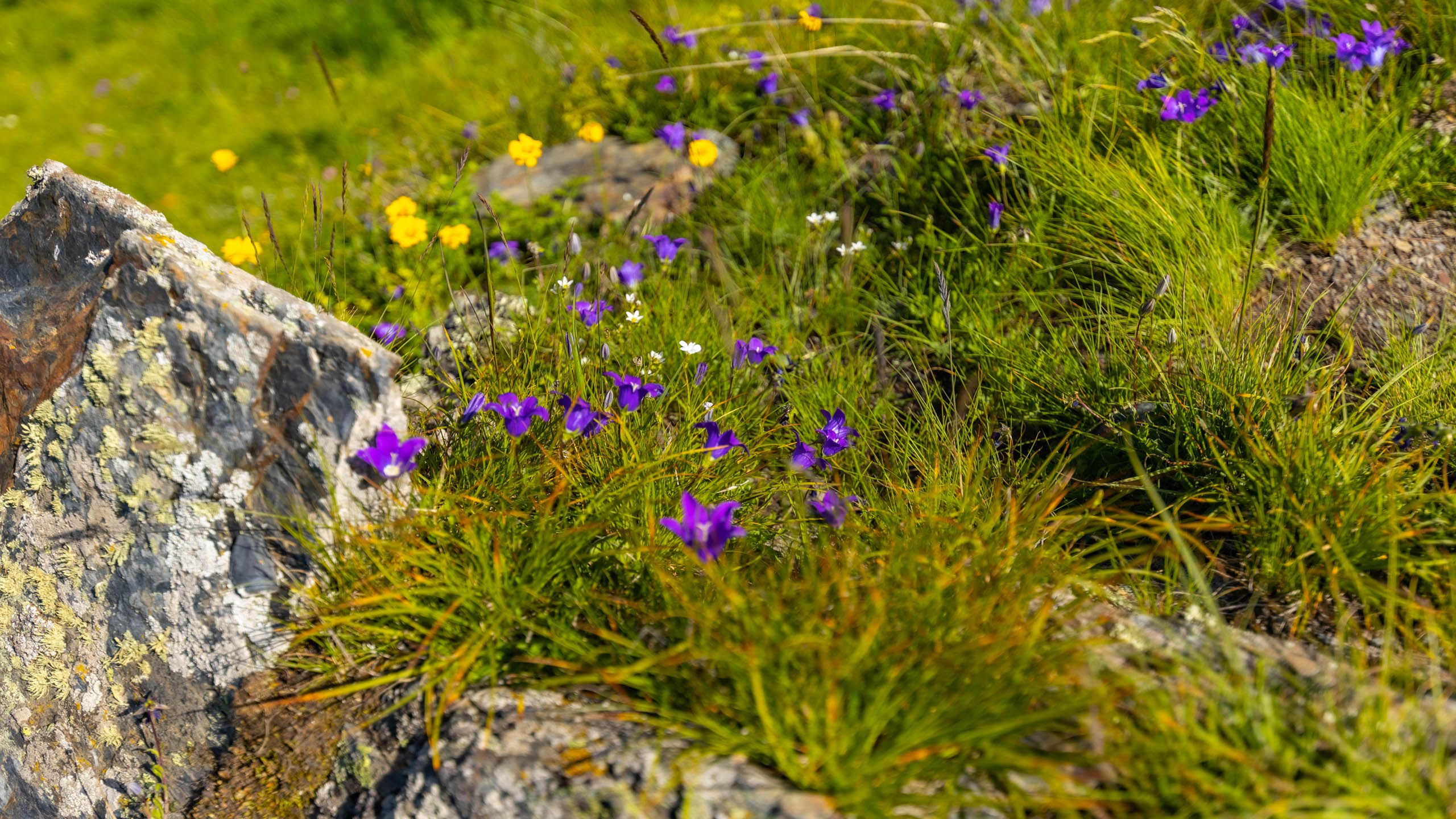 2023 07 Осетия, Ингушетия. Фотографии