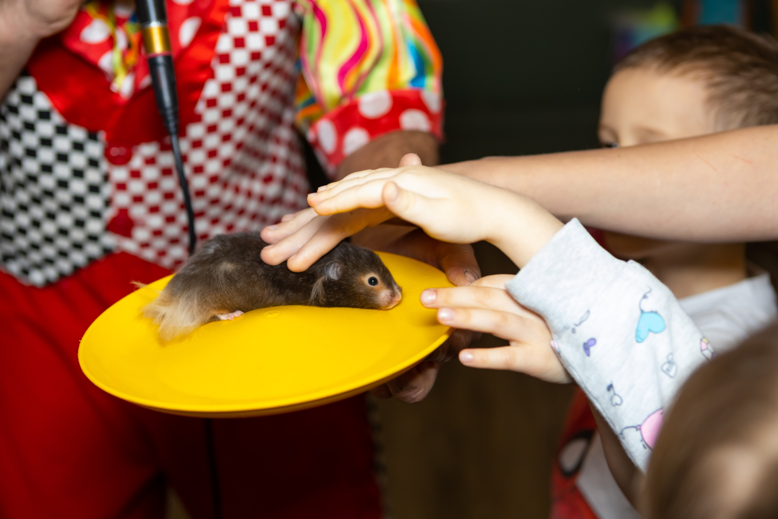 Детские дни рождения. Фотограф в Москве фотосессия