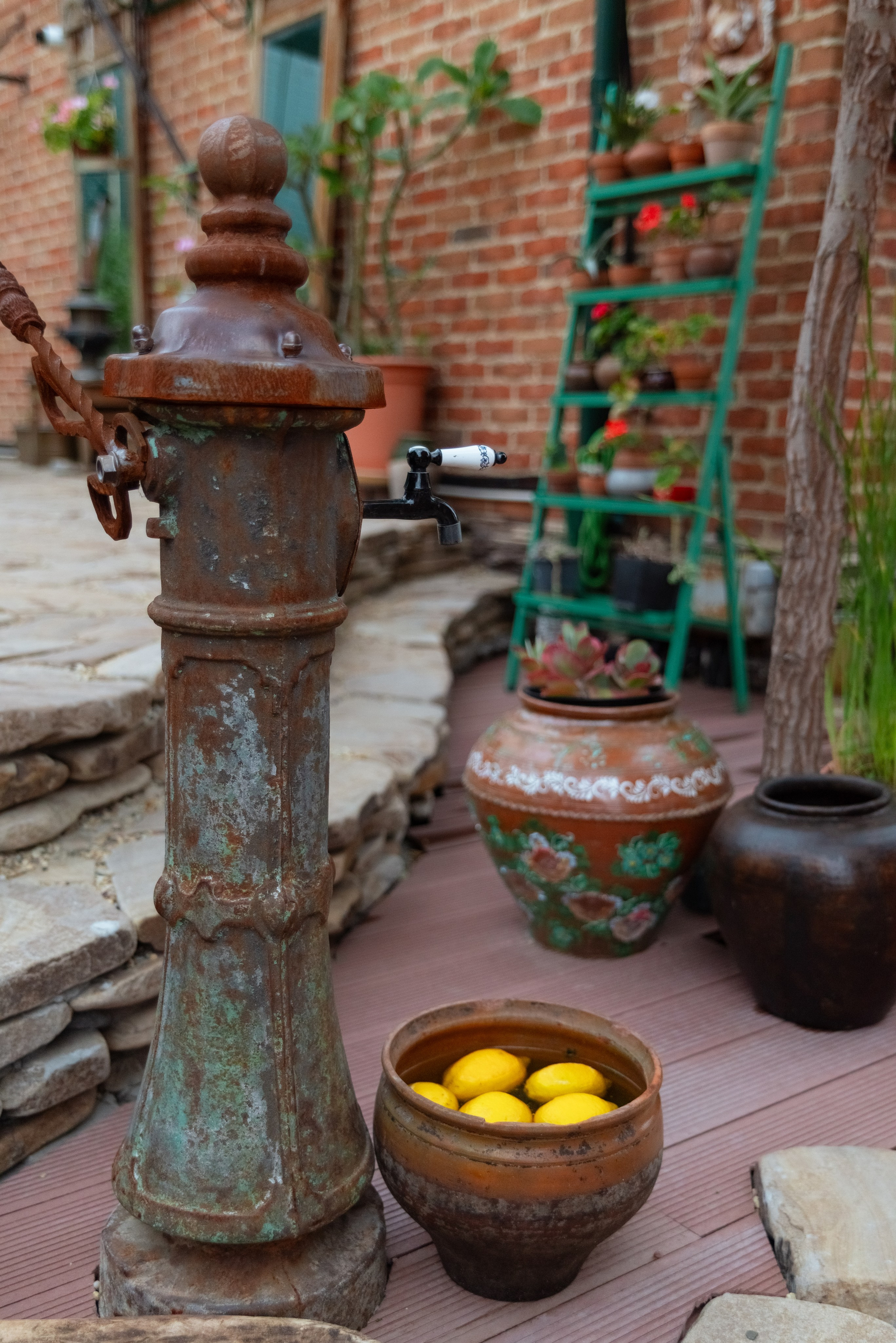 День рождения компании МебельКор. Фотограф Елена Кучук