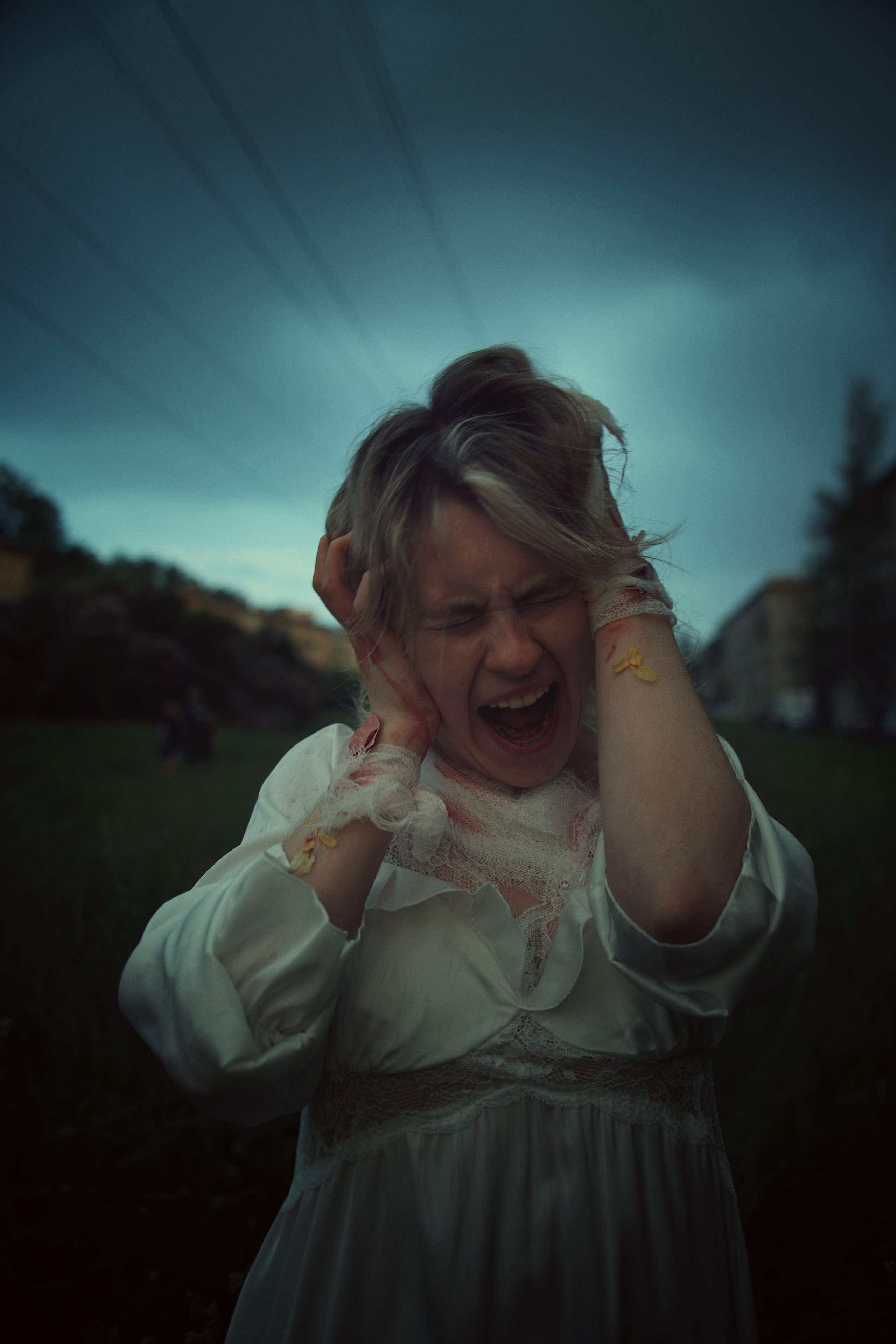 ЦВЕТЫ МЫСЛЕЙ. VetkasART