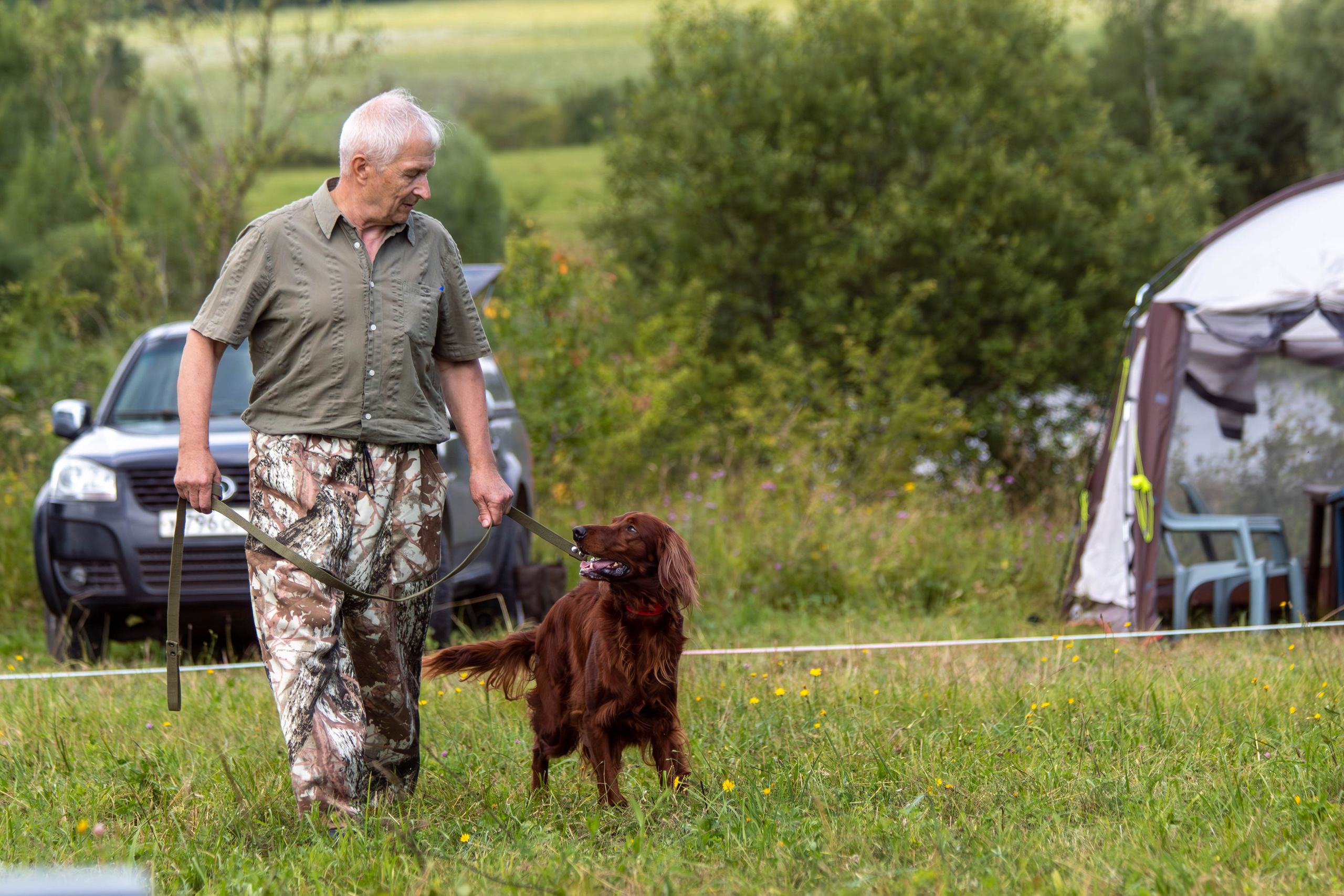 Репортажная съемка в Туле. Фотограф анималист — Тула, Москва