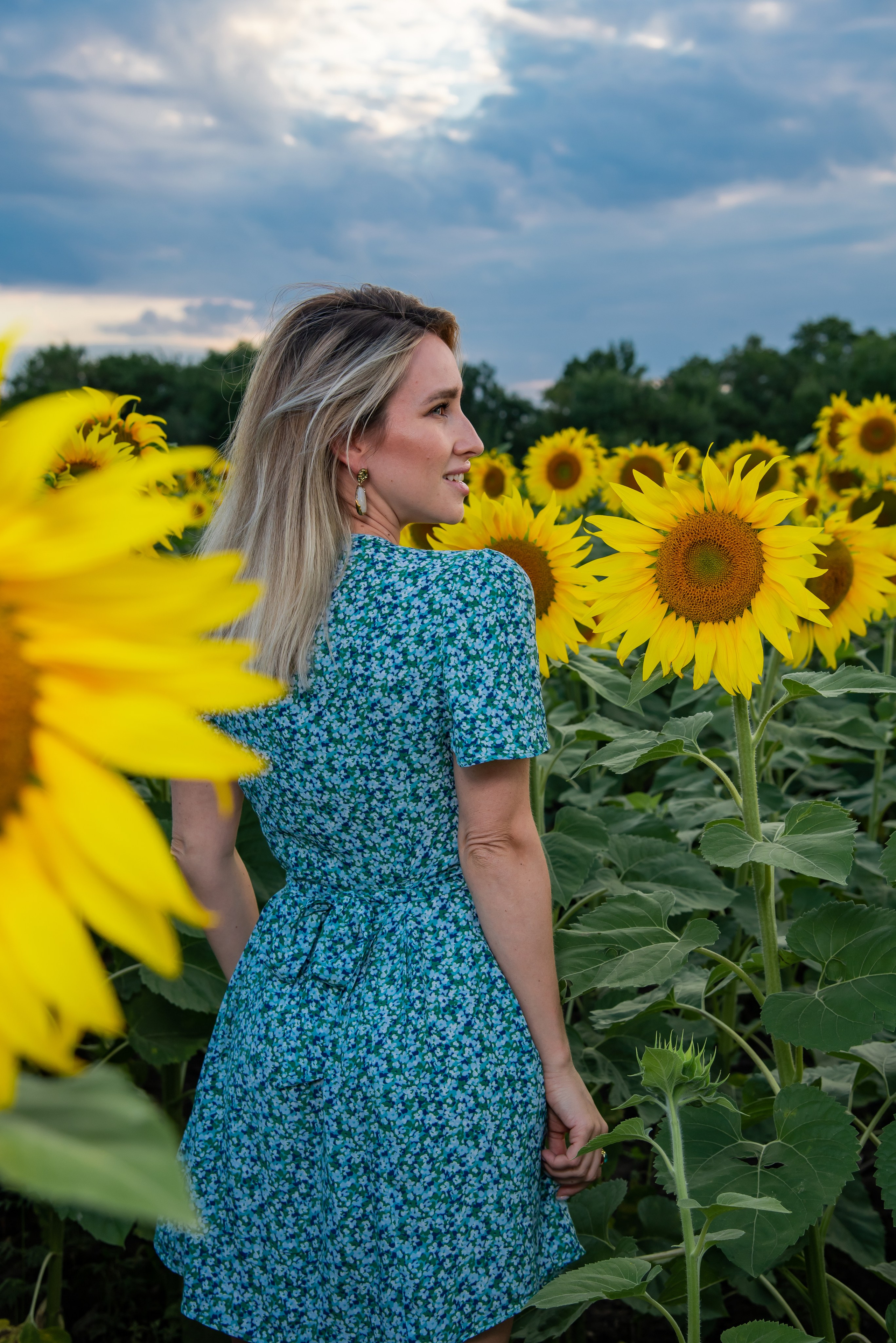 Подсолнух. Фотограф Галина Нестерова