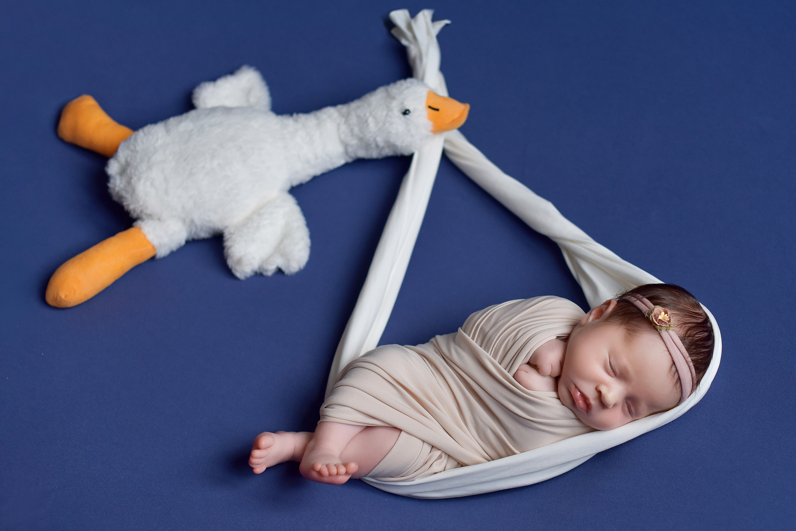 Девочки. Елена Комиссарова-фотограф новорожденных в г. Иваново